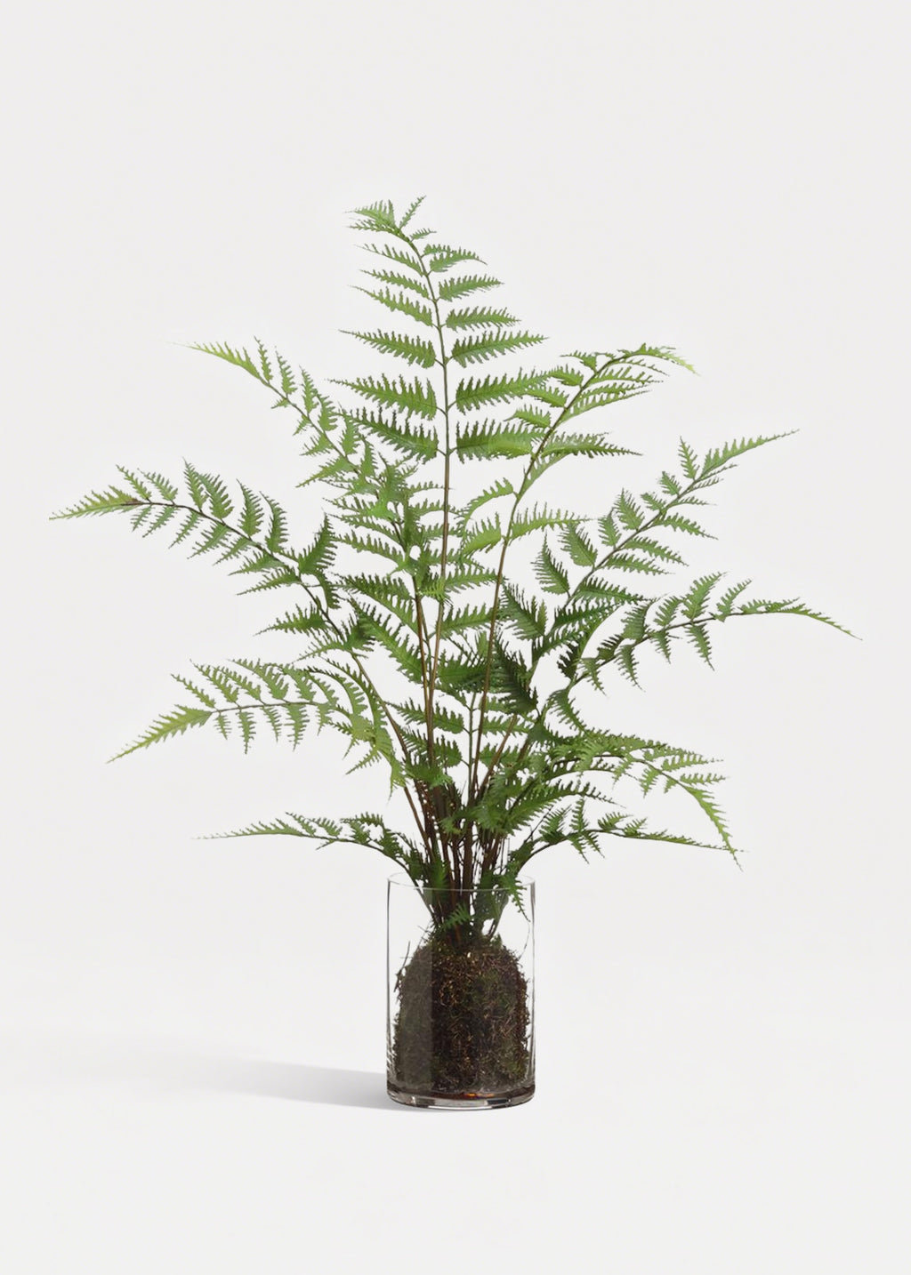 Fake Forest Fern Plant Arrangement in Glass Vase