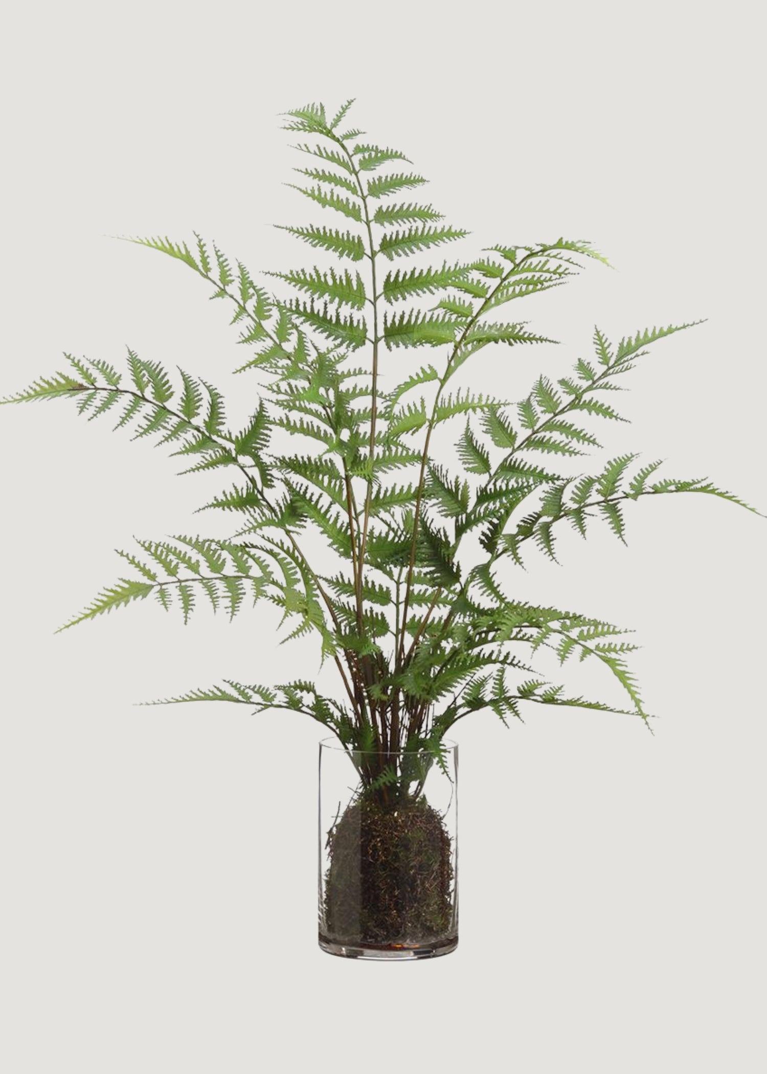 Fake Forest Fern Plant Arrangement in Glass Vase