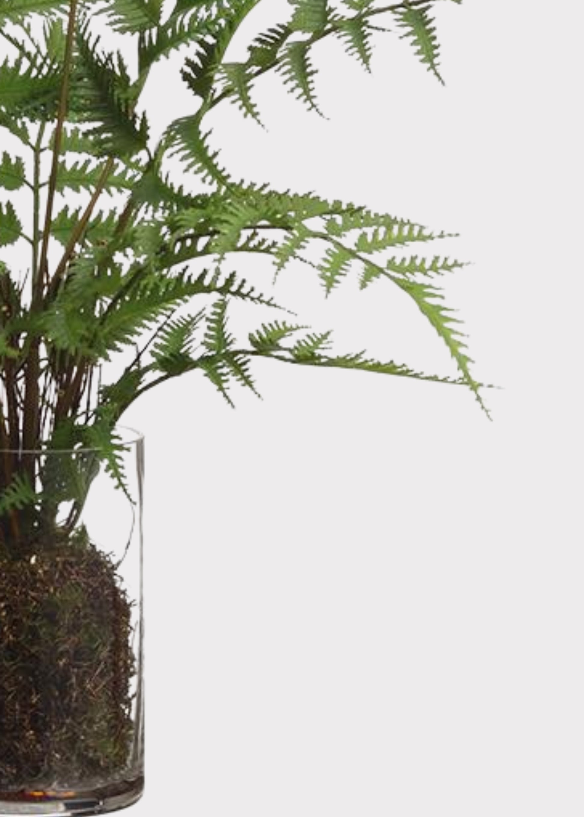 Close-up of a Fake Forest Fern Plant Arrangement in Glass Vase