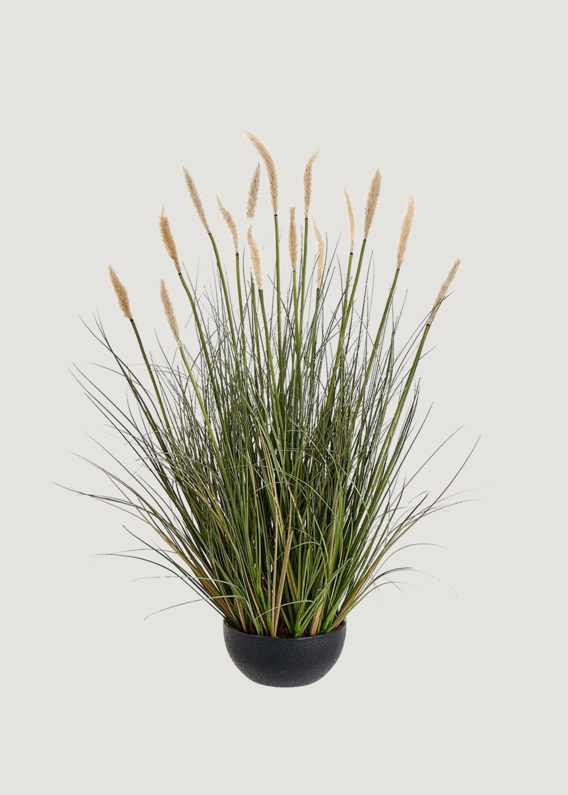 Fake Foxtail Grass Plant in Plastic Planter Pot 