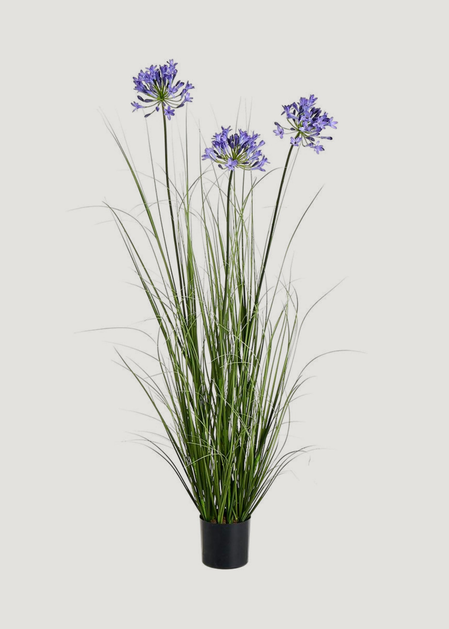 Blue Artificial Agapanthus Flower and Grass Potted Arrangement 