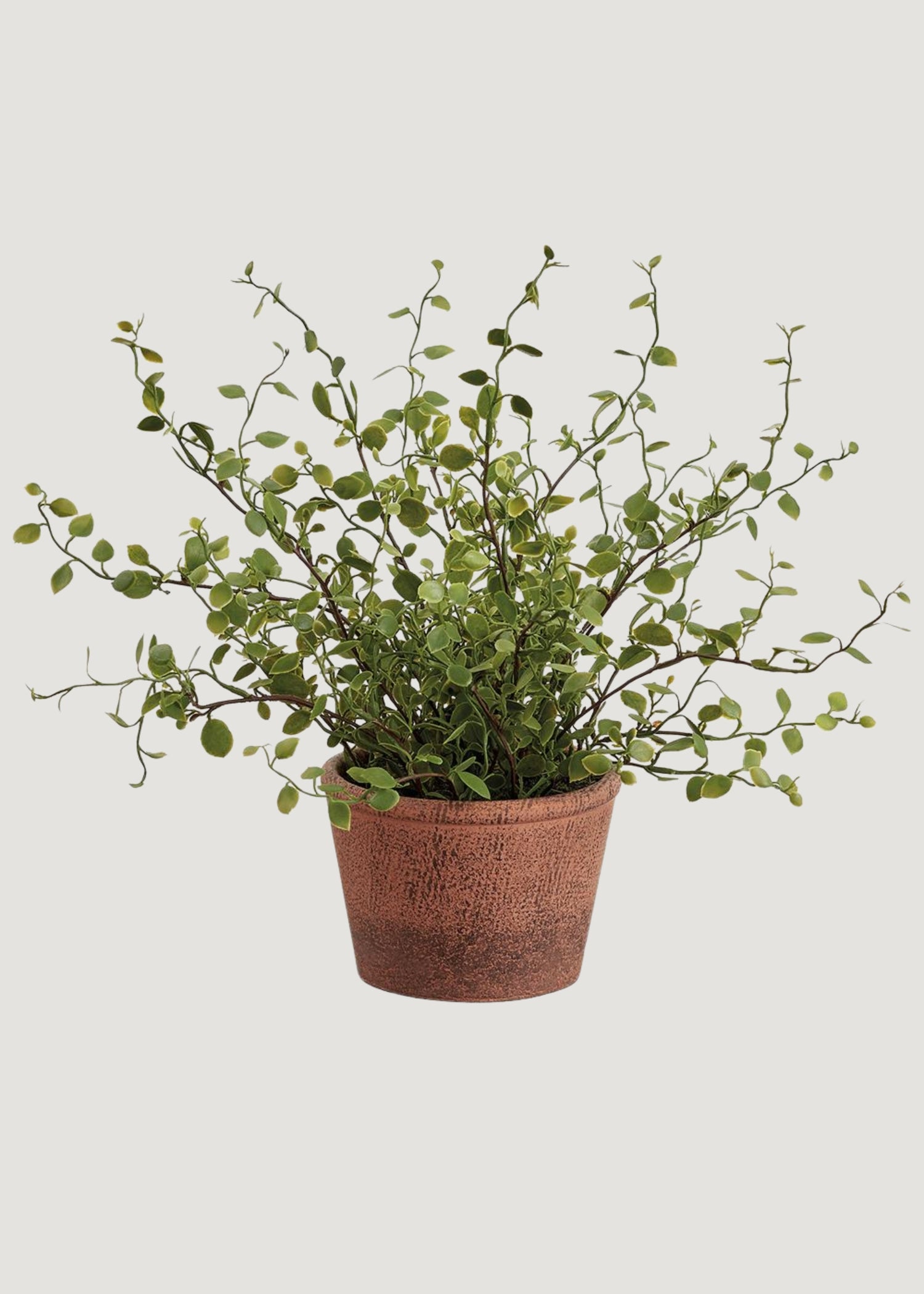 Artificial Plant Maidenhair Creeping Vine in Pot 