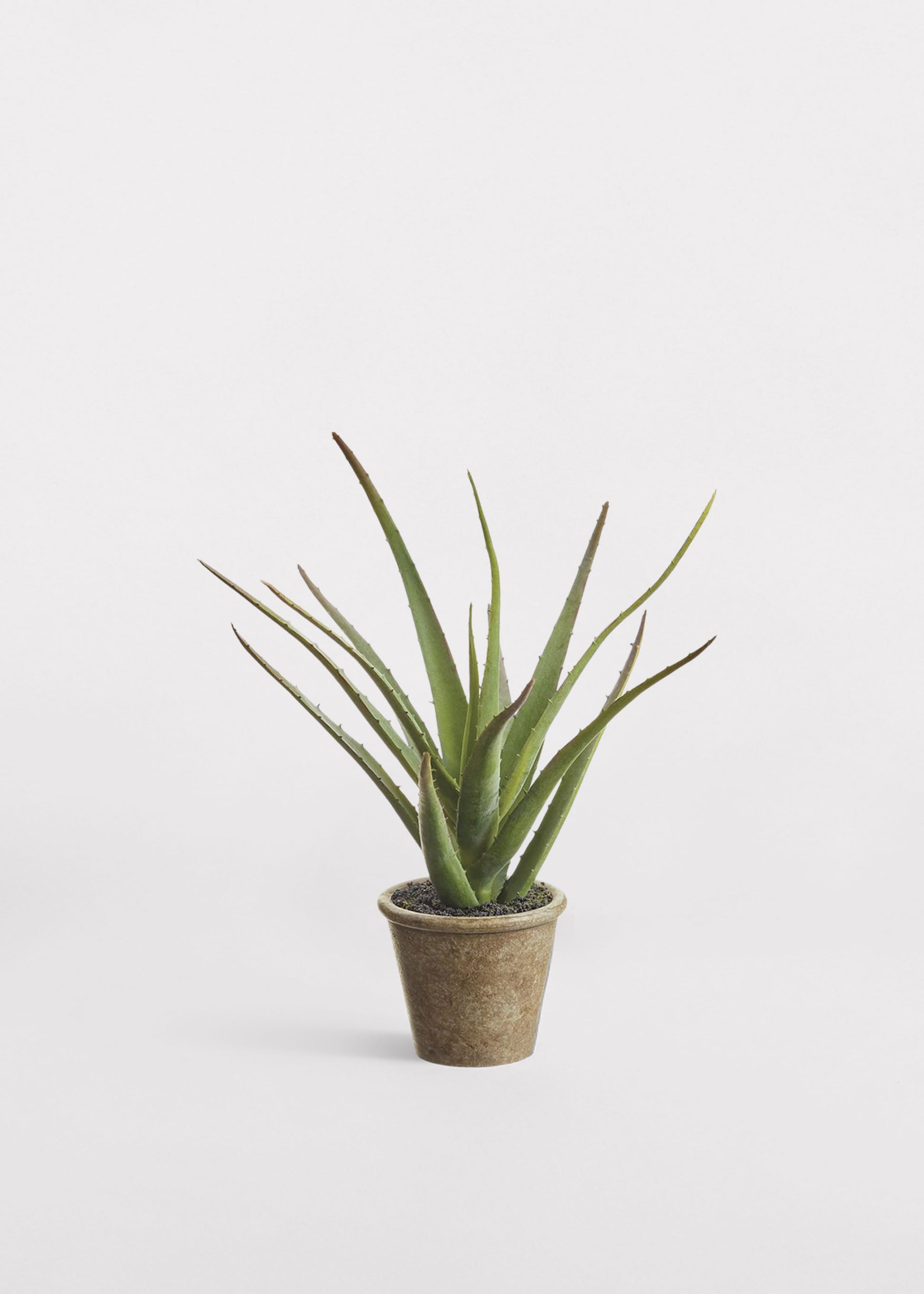 small fake plants without pots Small Fake Agave Cactus Plant in Paper Mache Pot