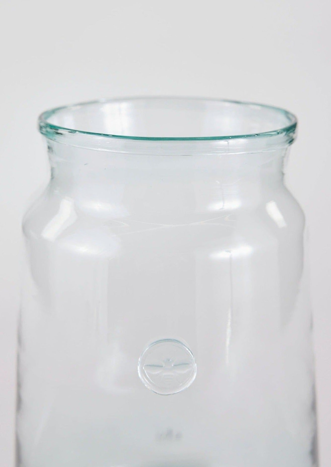 Large French Glass Jar Vase in Closeup View at afloral
