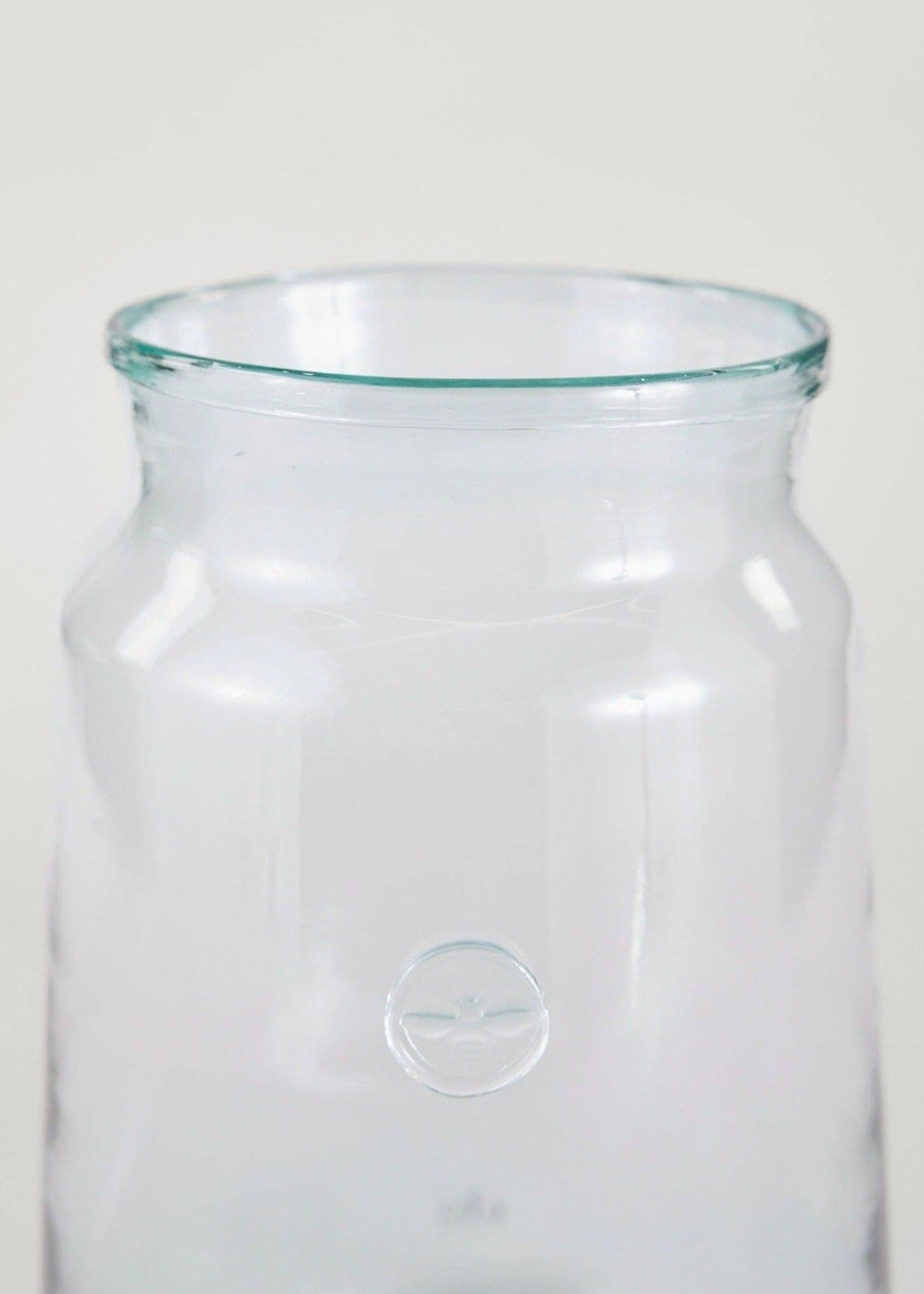 Large French Glass Jar Vase in Closeup View at afloral