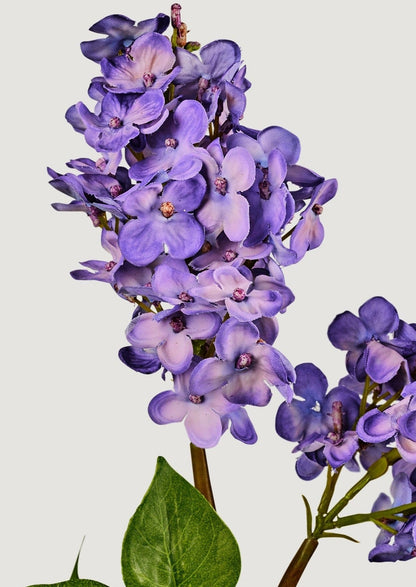 Closeup View of Purple Artificial Lilac Flowers at Afloral
