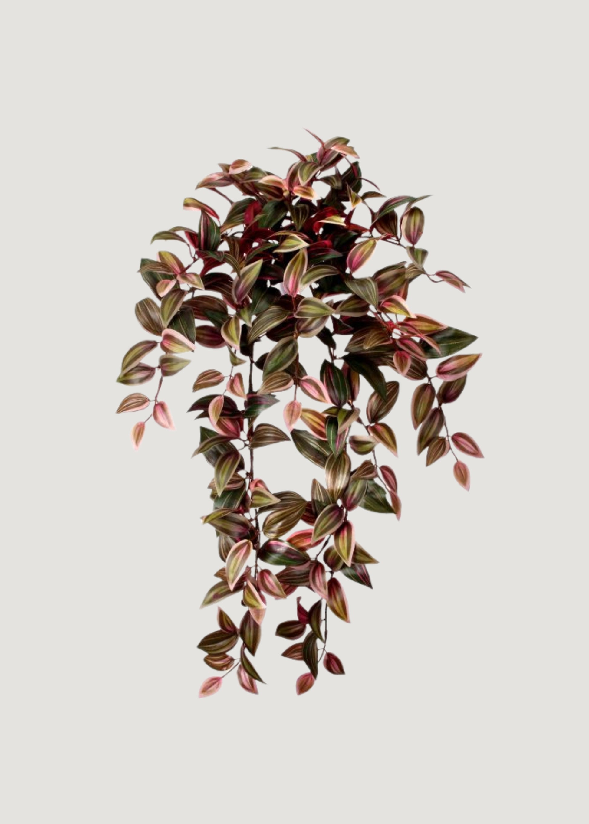 Red and Green Artificial Tradescantia Hanging Plant 