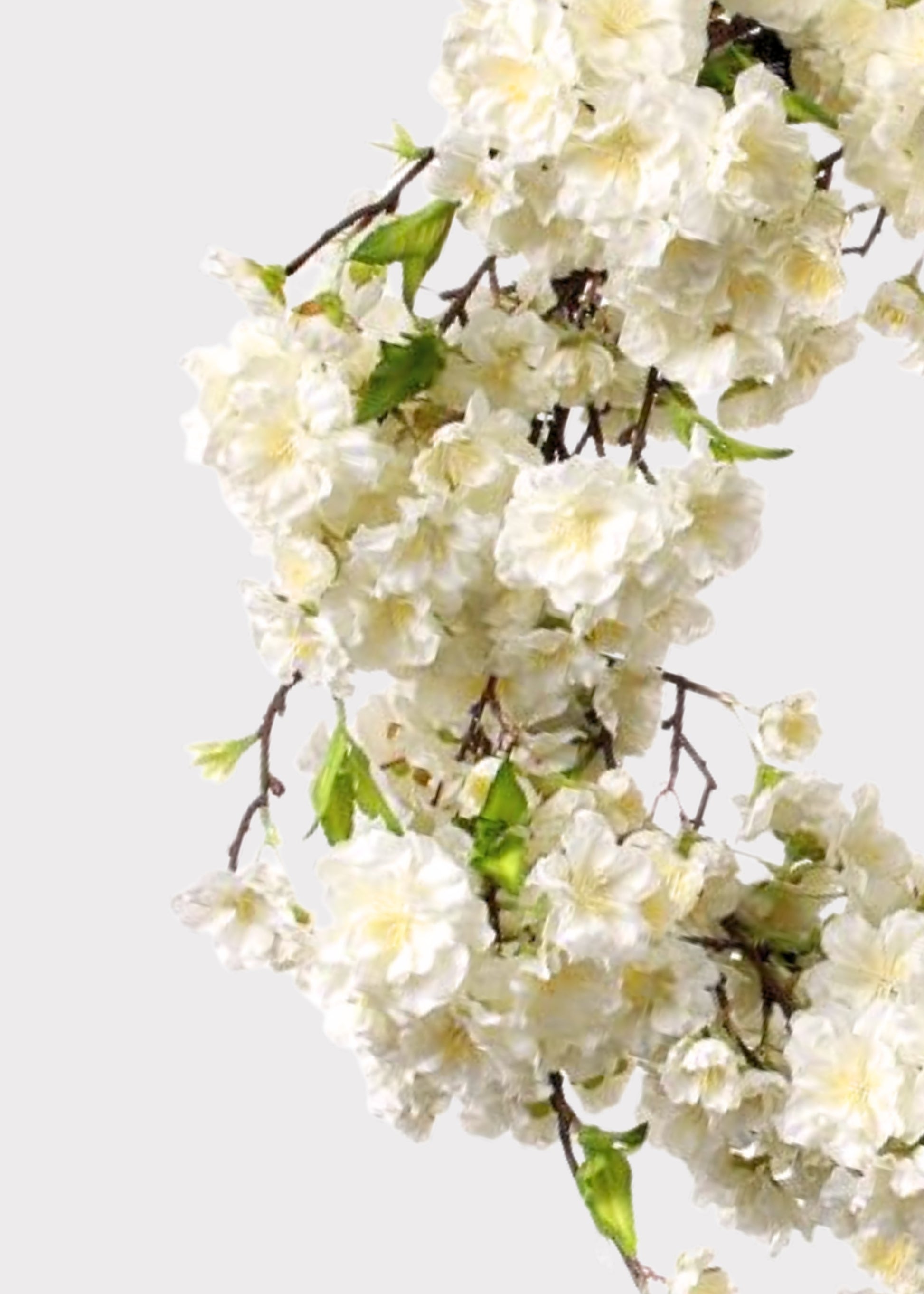 Close-up of Cream Artificial Cherry Blossom Flower Wreath