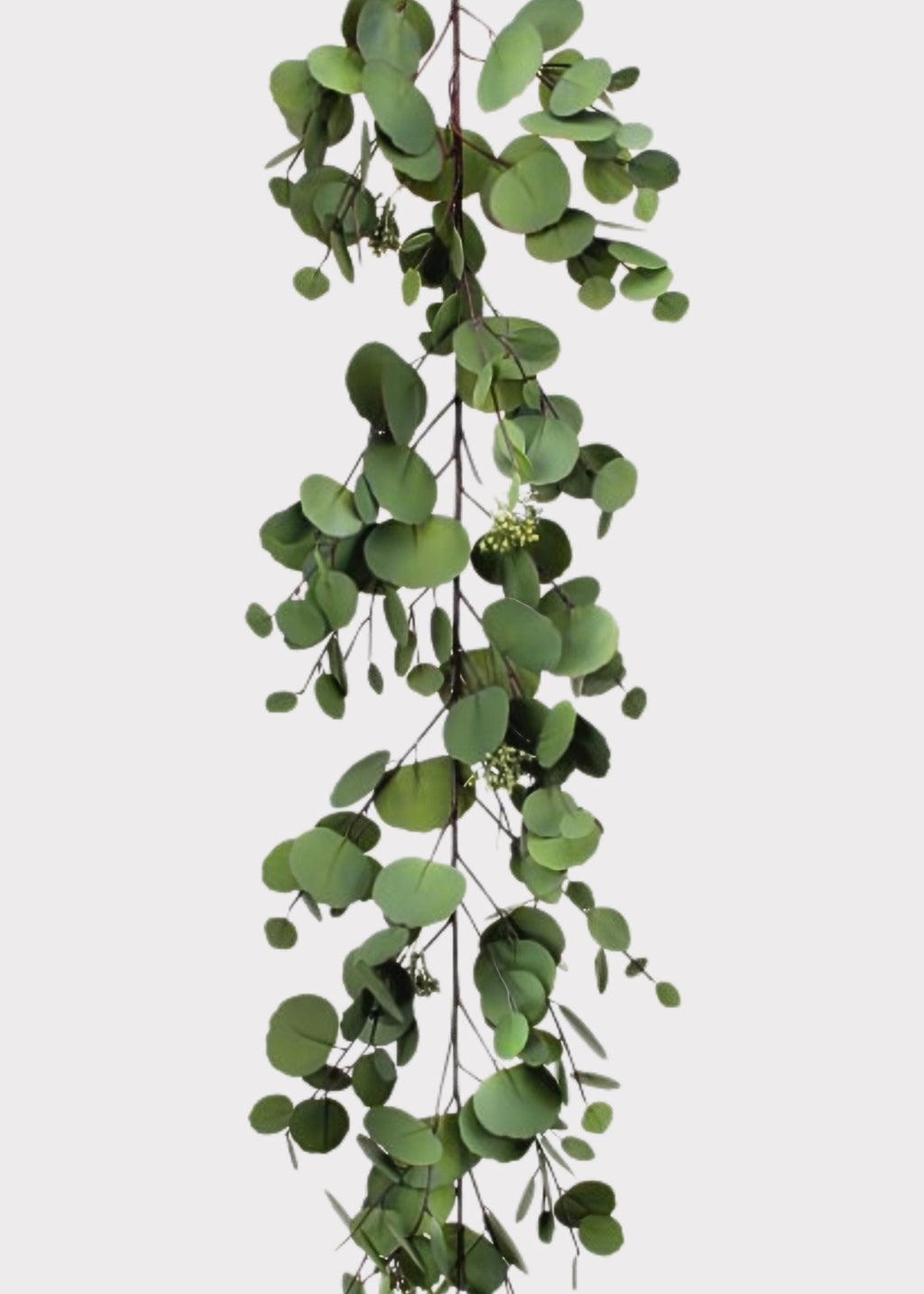eucalyptus garland