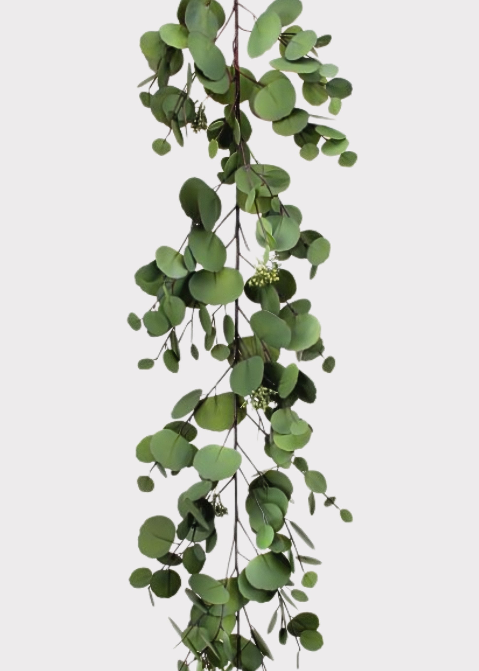 eucalyptus garland