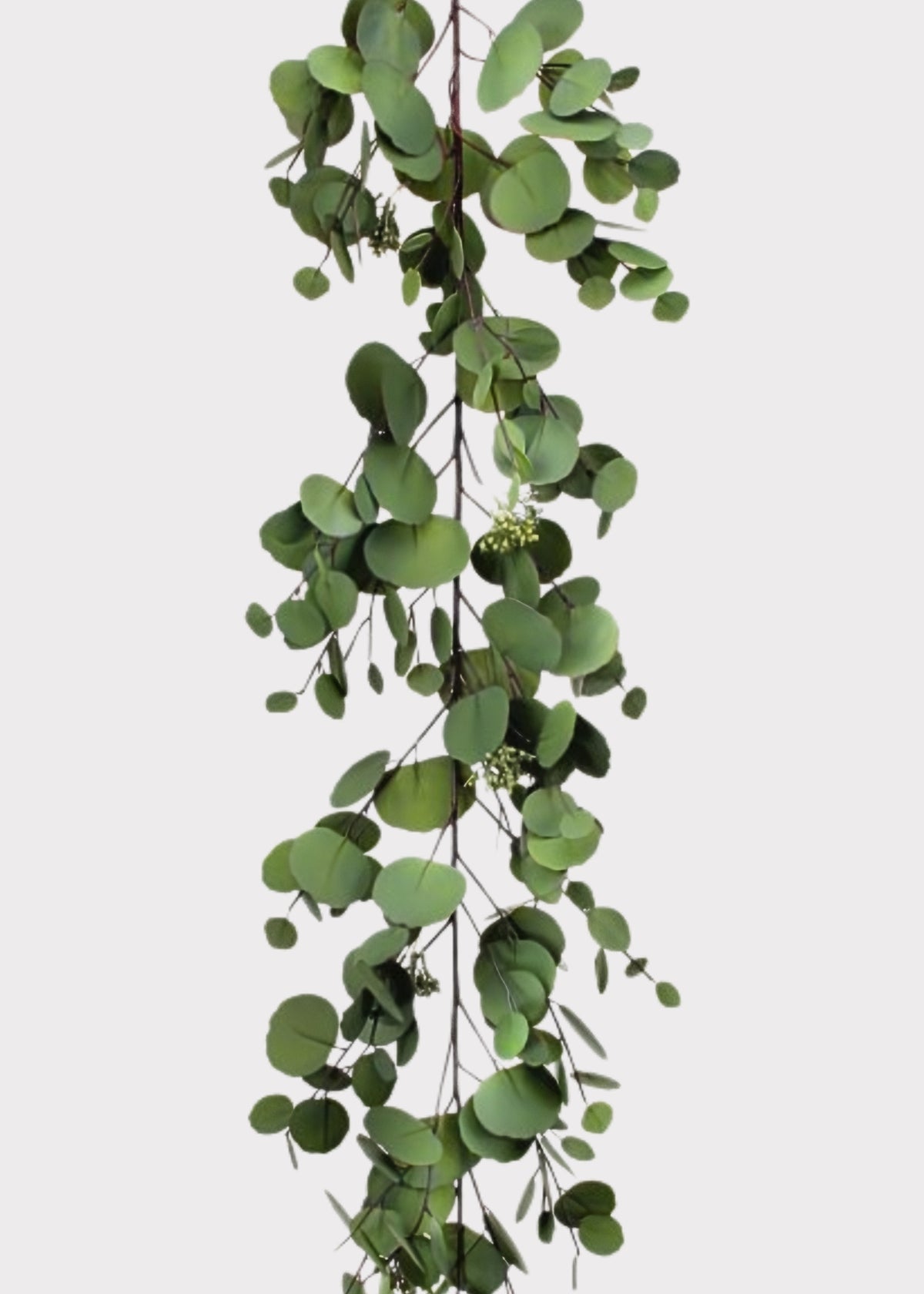 eucalyptus garland