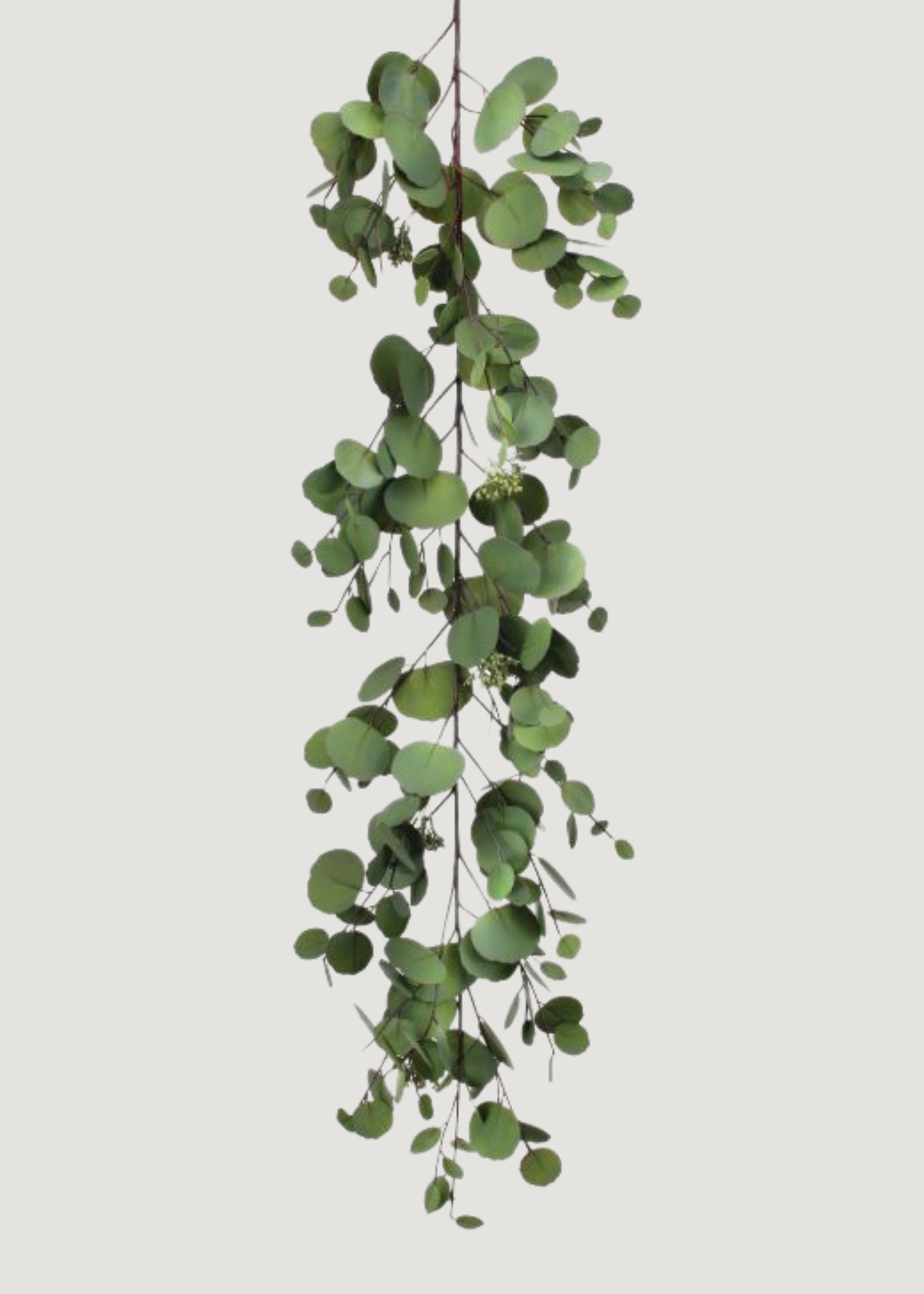 Natural Touch Fake Silver Dollar Eucalyptus Garland