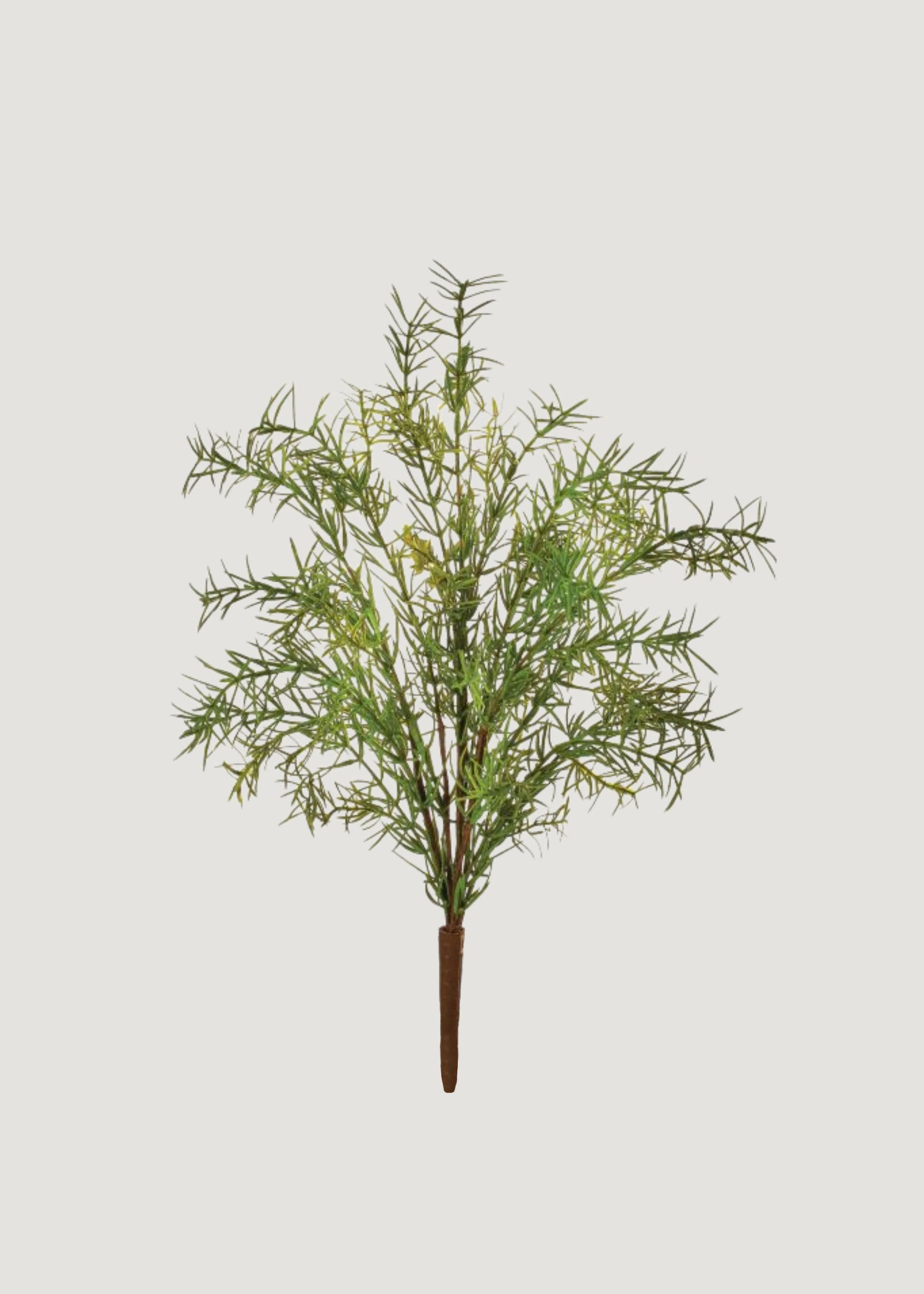 UV Treated Sprengeri Fern Indoor/Outdoor Natural Touch Plant - 18"