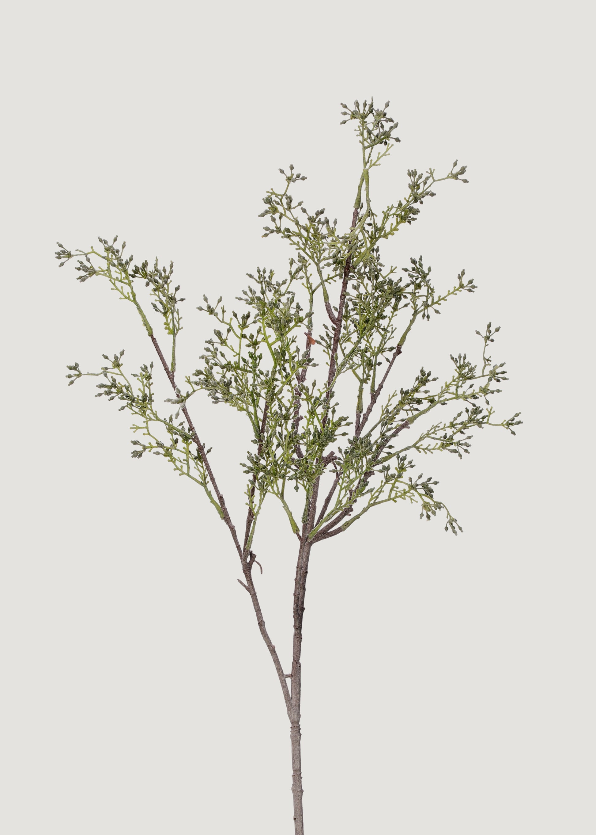 Artificial Eucalyptus Seeded Stem at Afloral