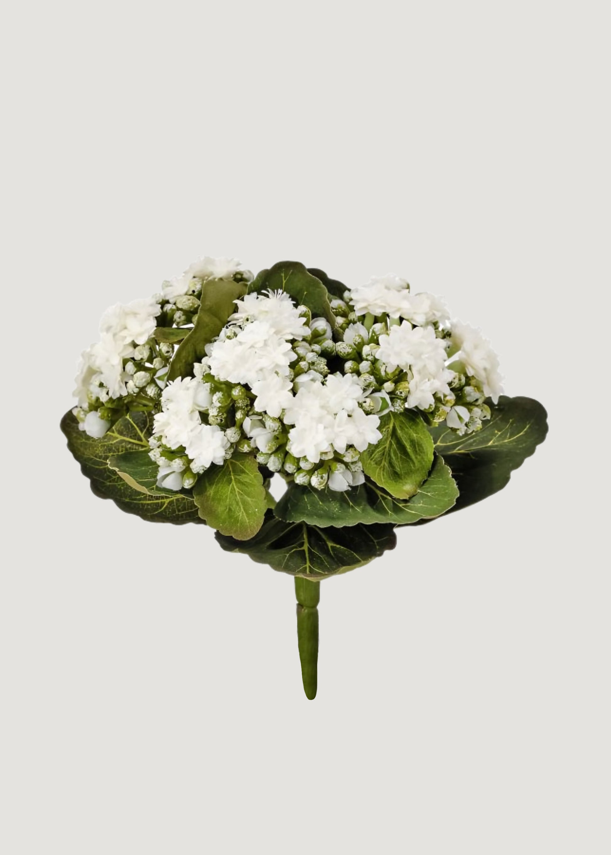 Fake Kalanchoe Plant