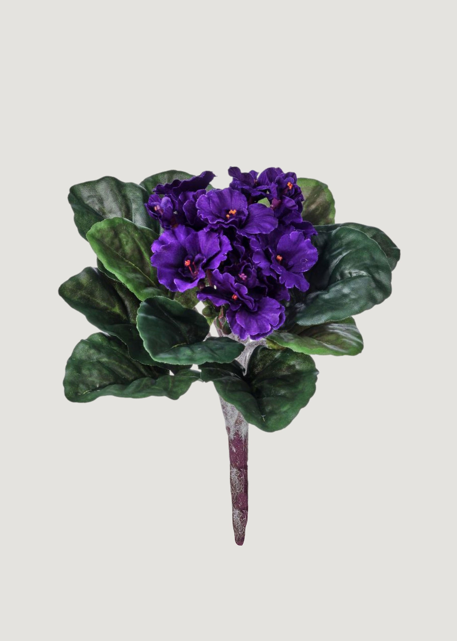 Small African Violet Fake Bush 