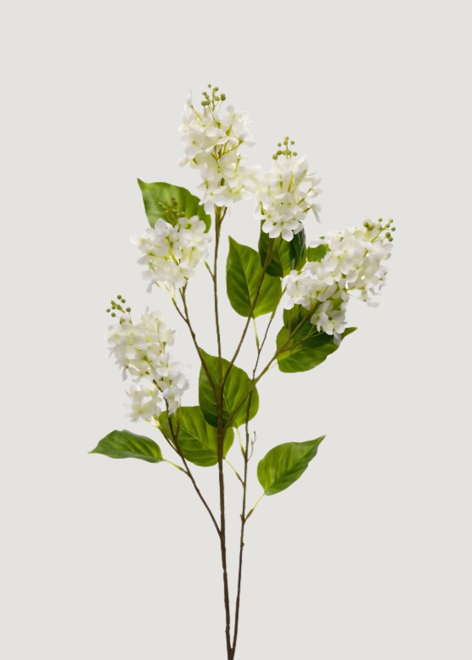  Lilac Flower Branch in Cream 