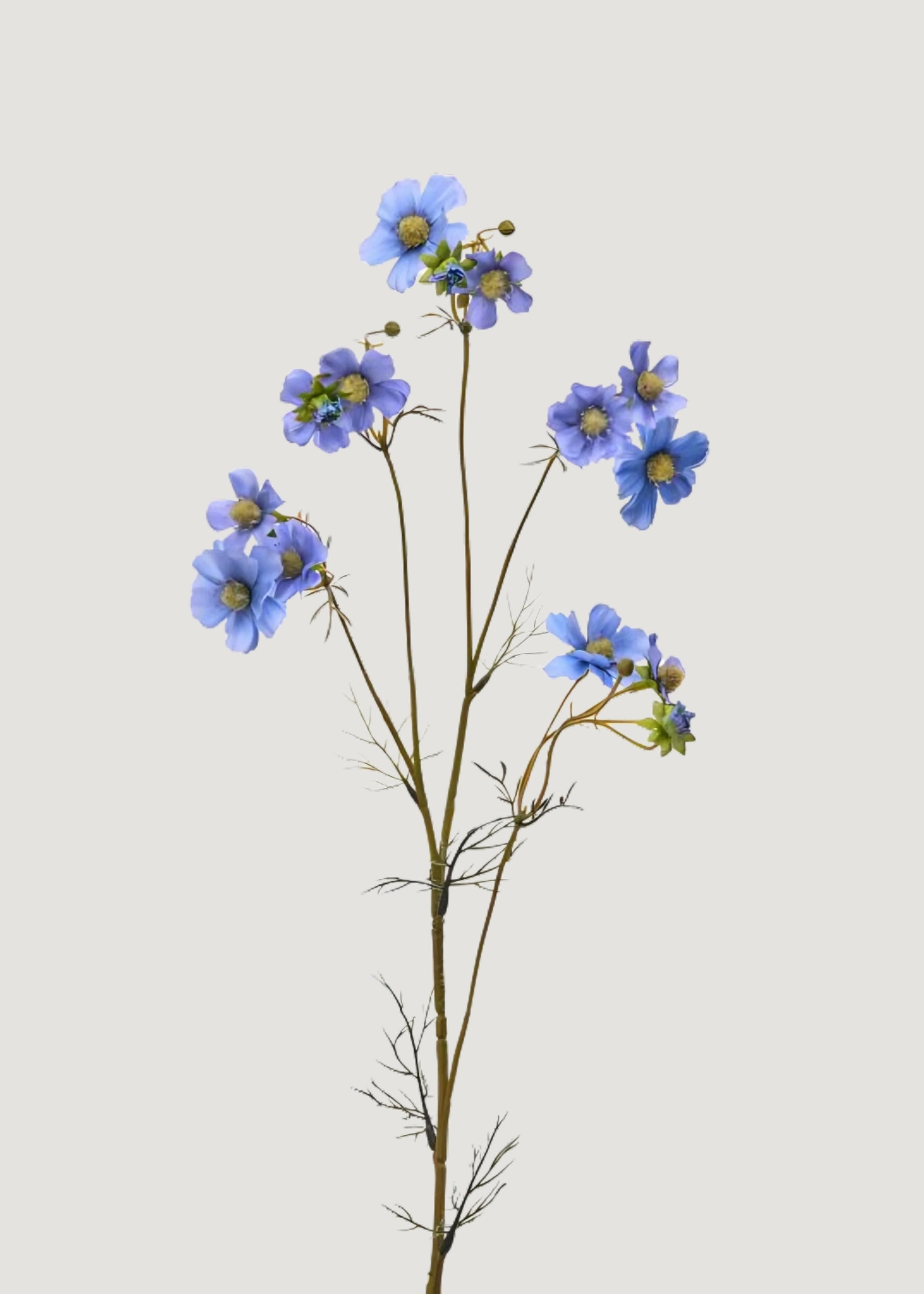 Blue Fake Cosmos Spray 