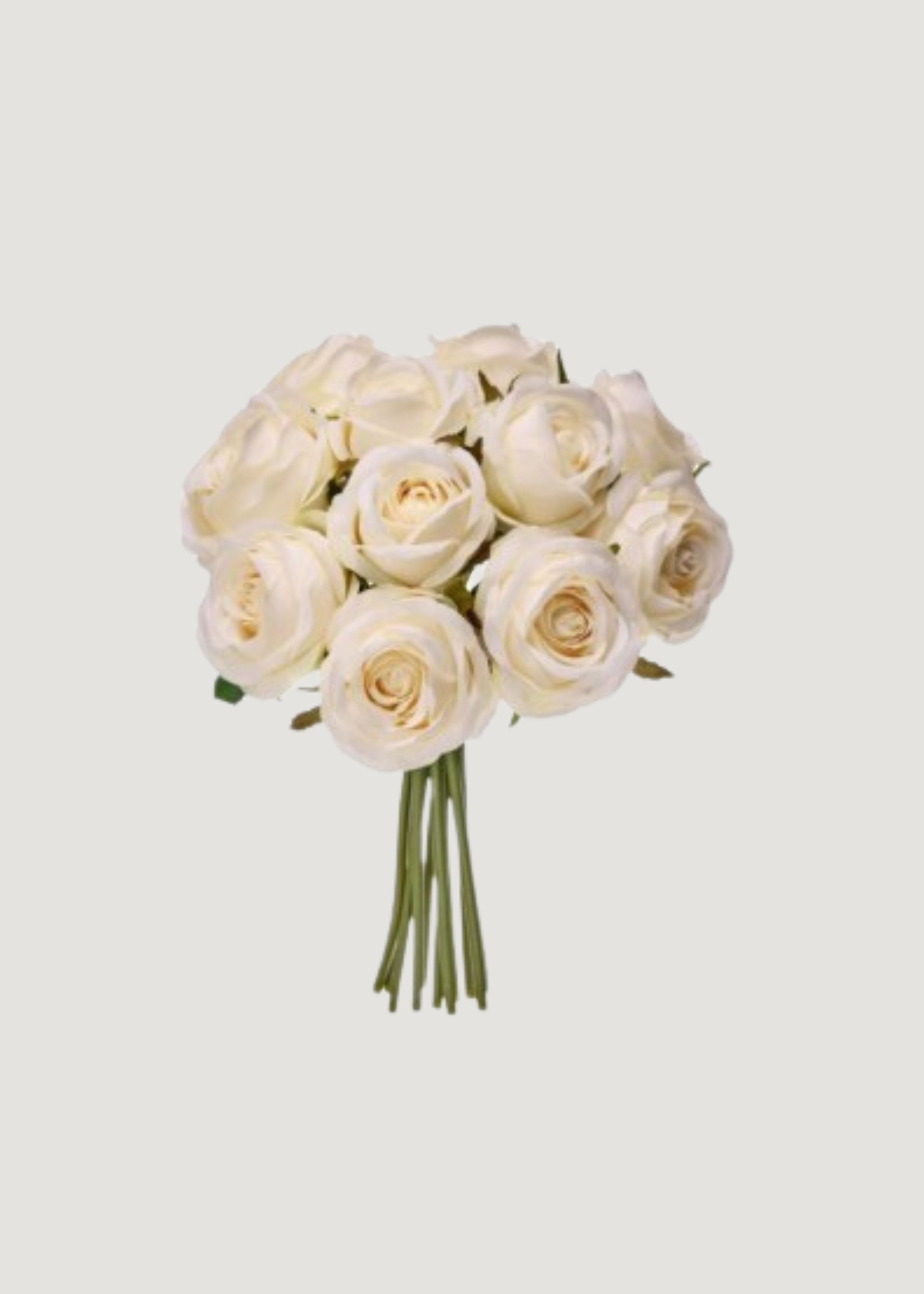 Bundle of Ivory Roses