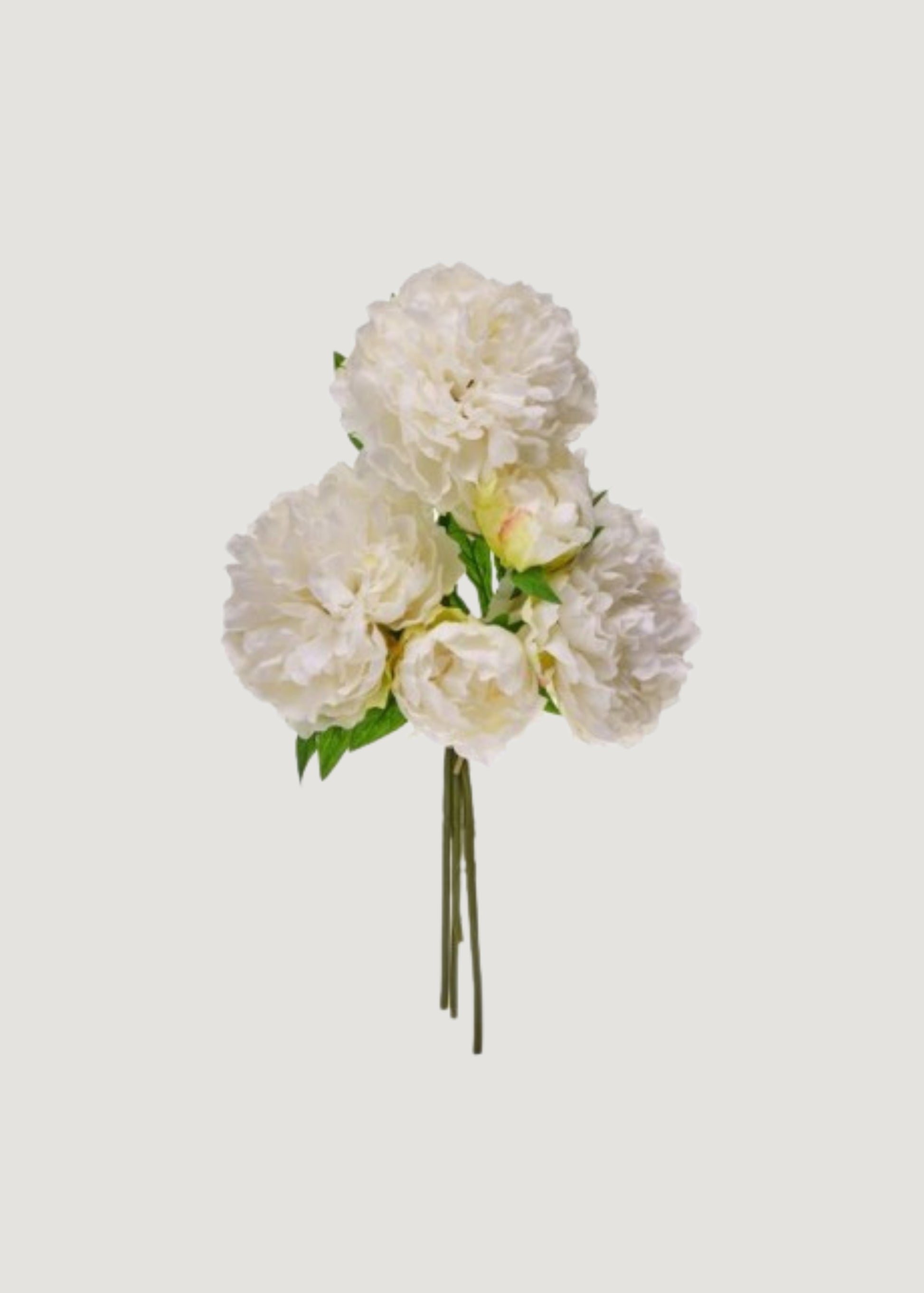 Faux Cream Peonies