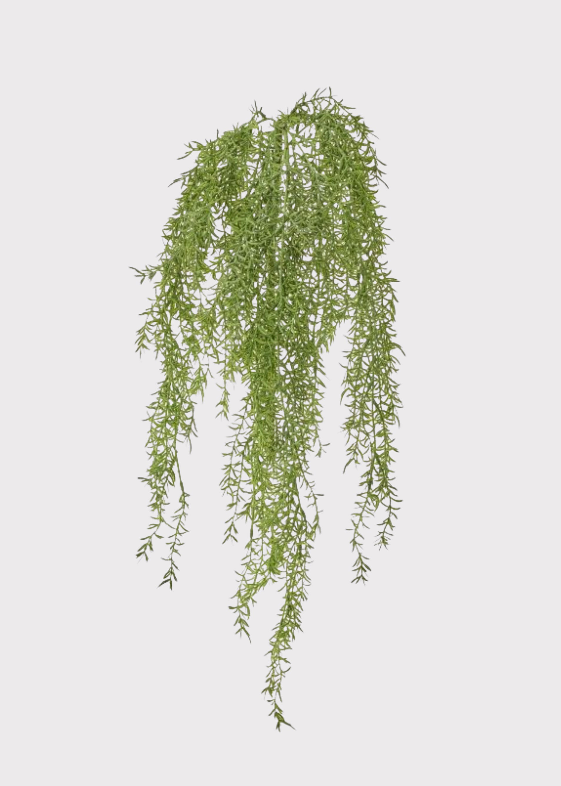 Natural Touch Sprengeri Fern Fake Hanging Bush