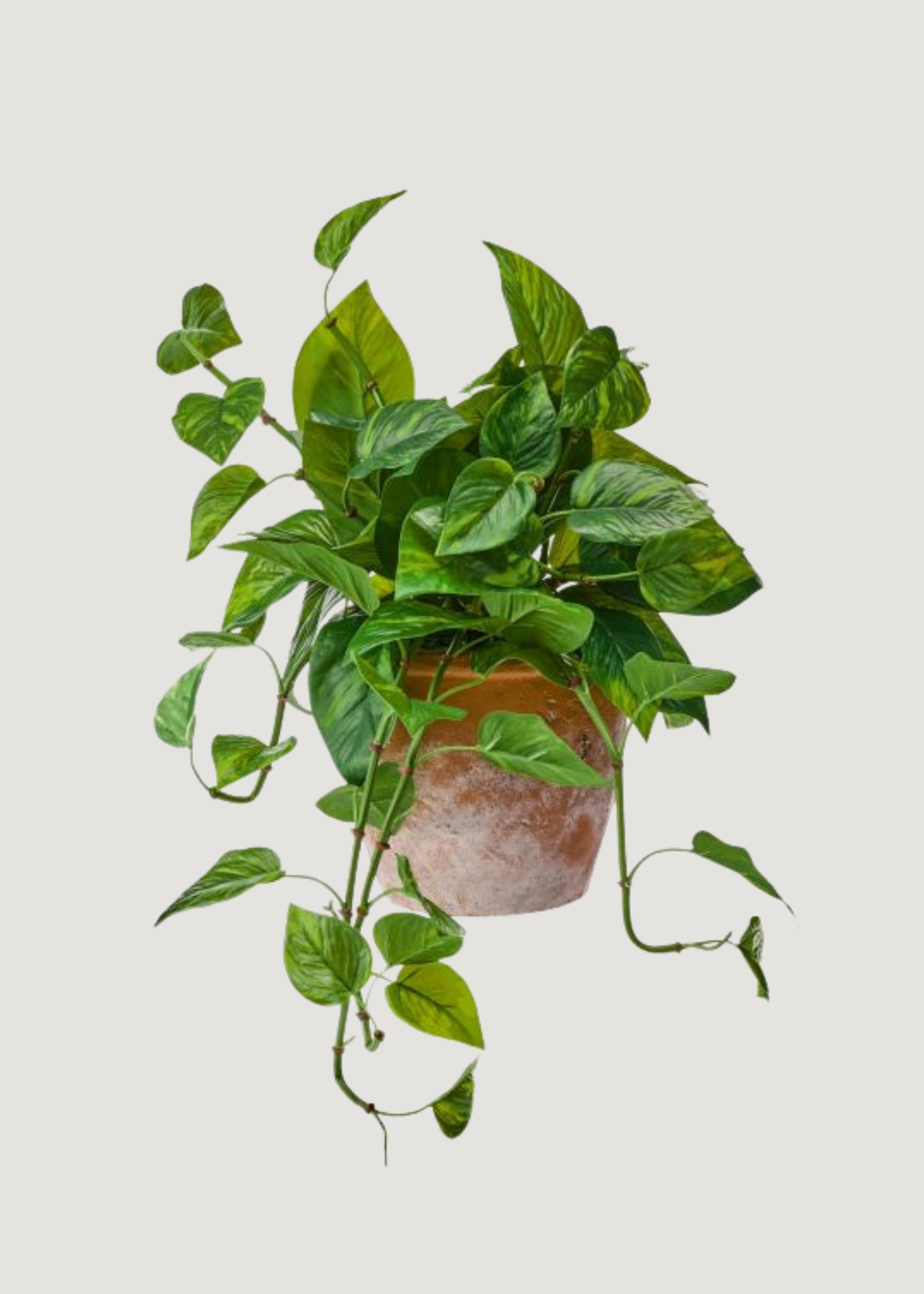 UV Treated Faux Pothos Plant