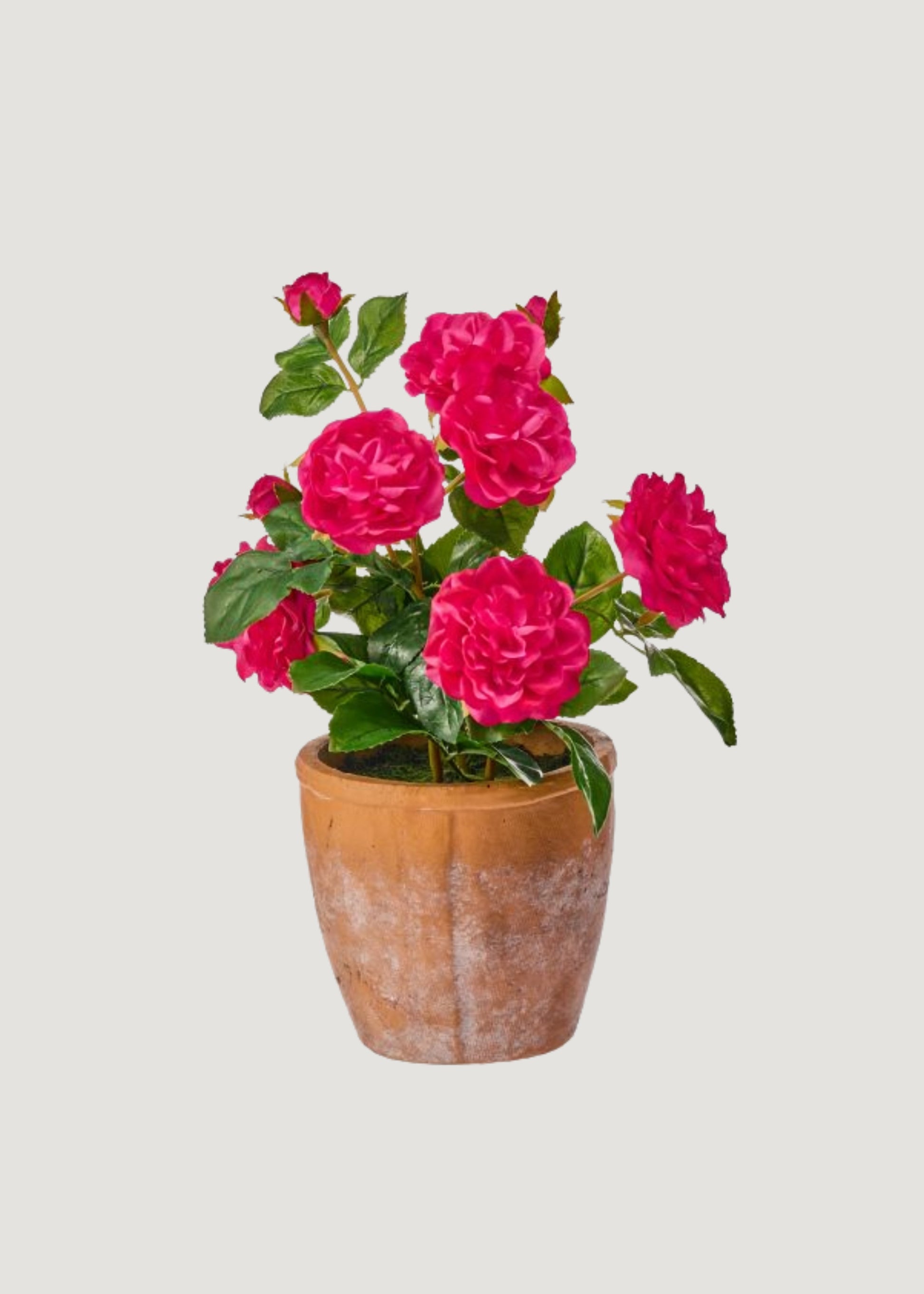 Hot Pink Faux Roses in a Clay Pot at Afloral