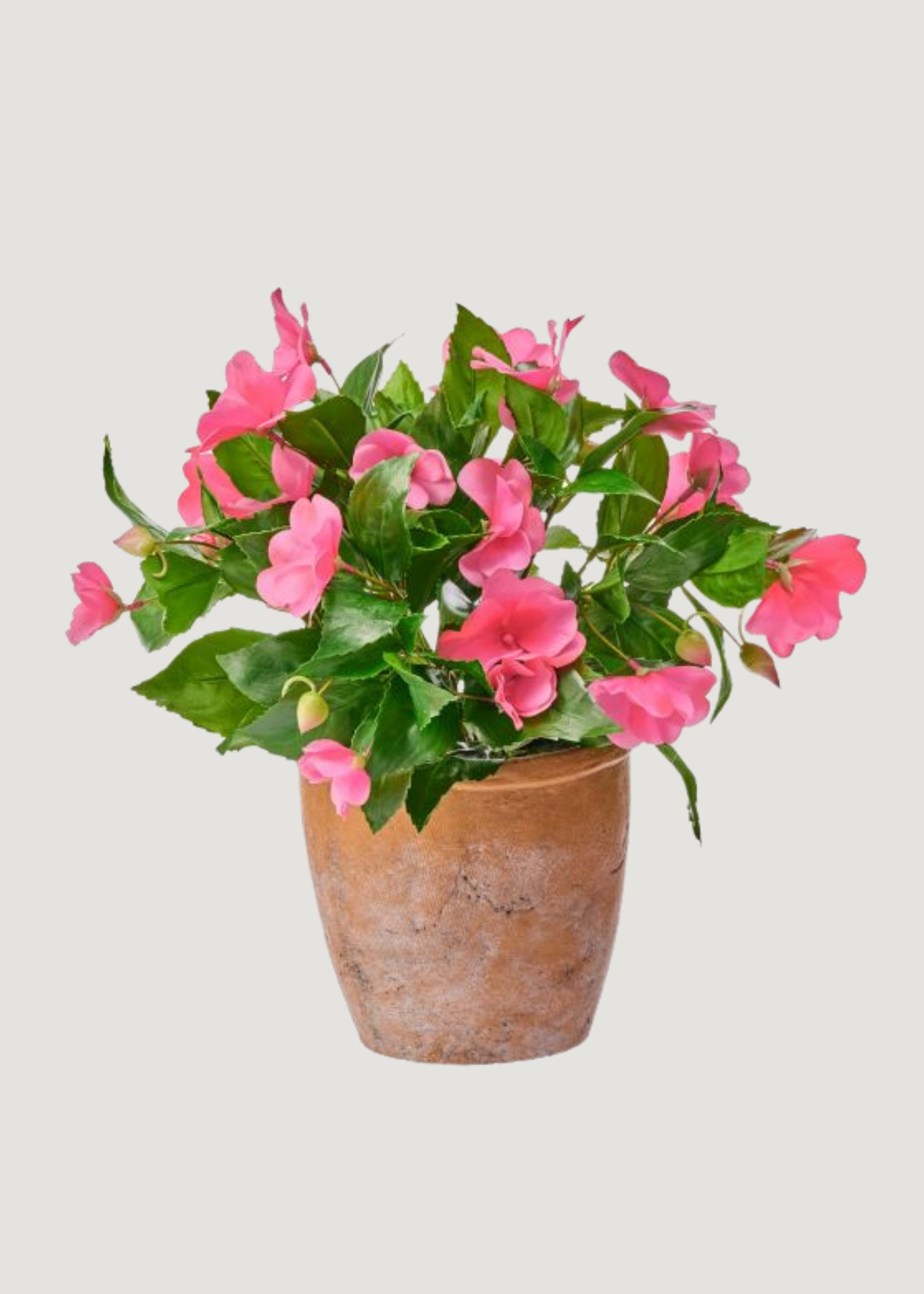 Potted Faux Impatiens in a Clay Pot