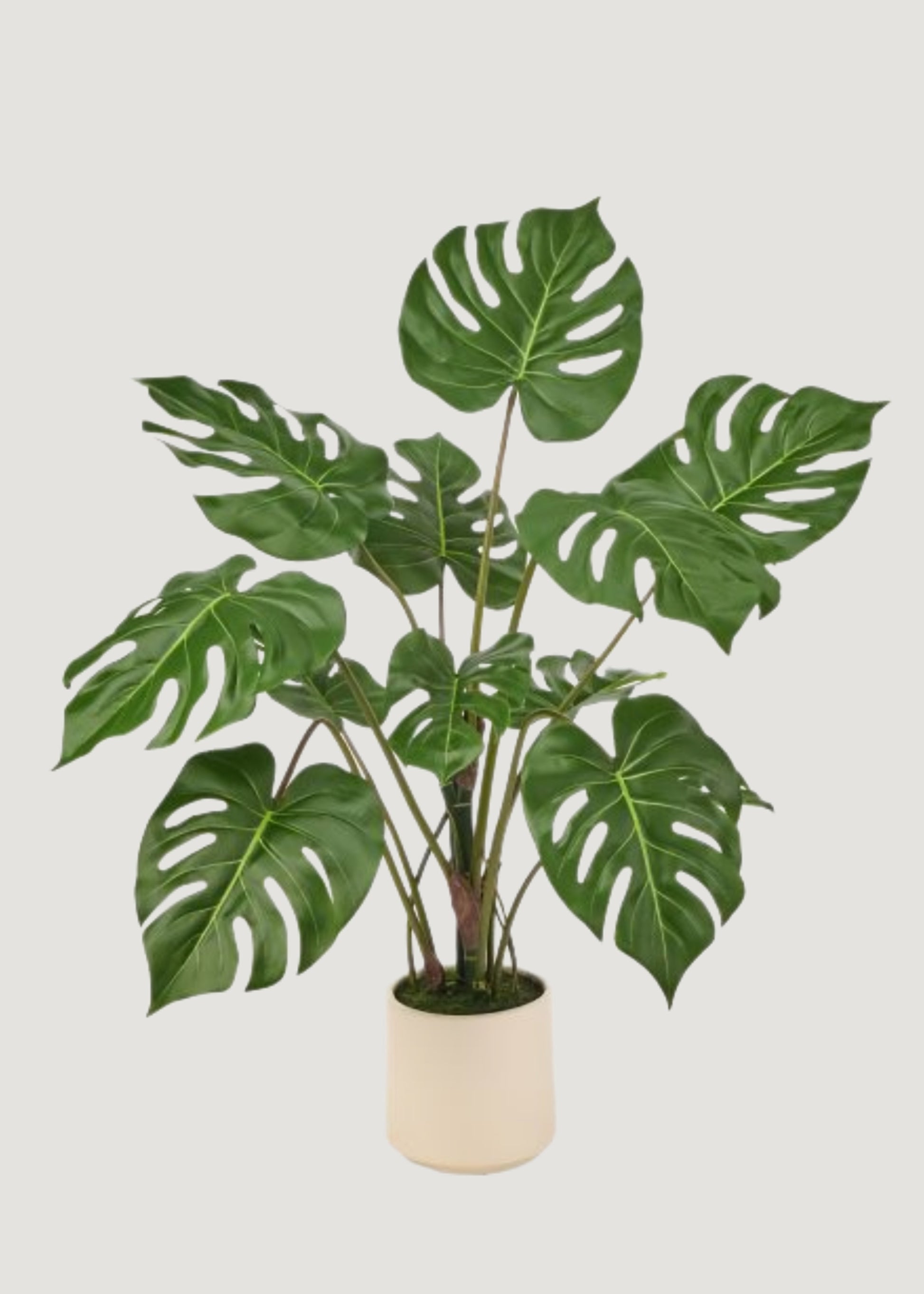 Fake Monstera Potted Plant