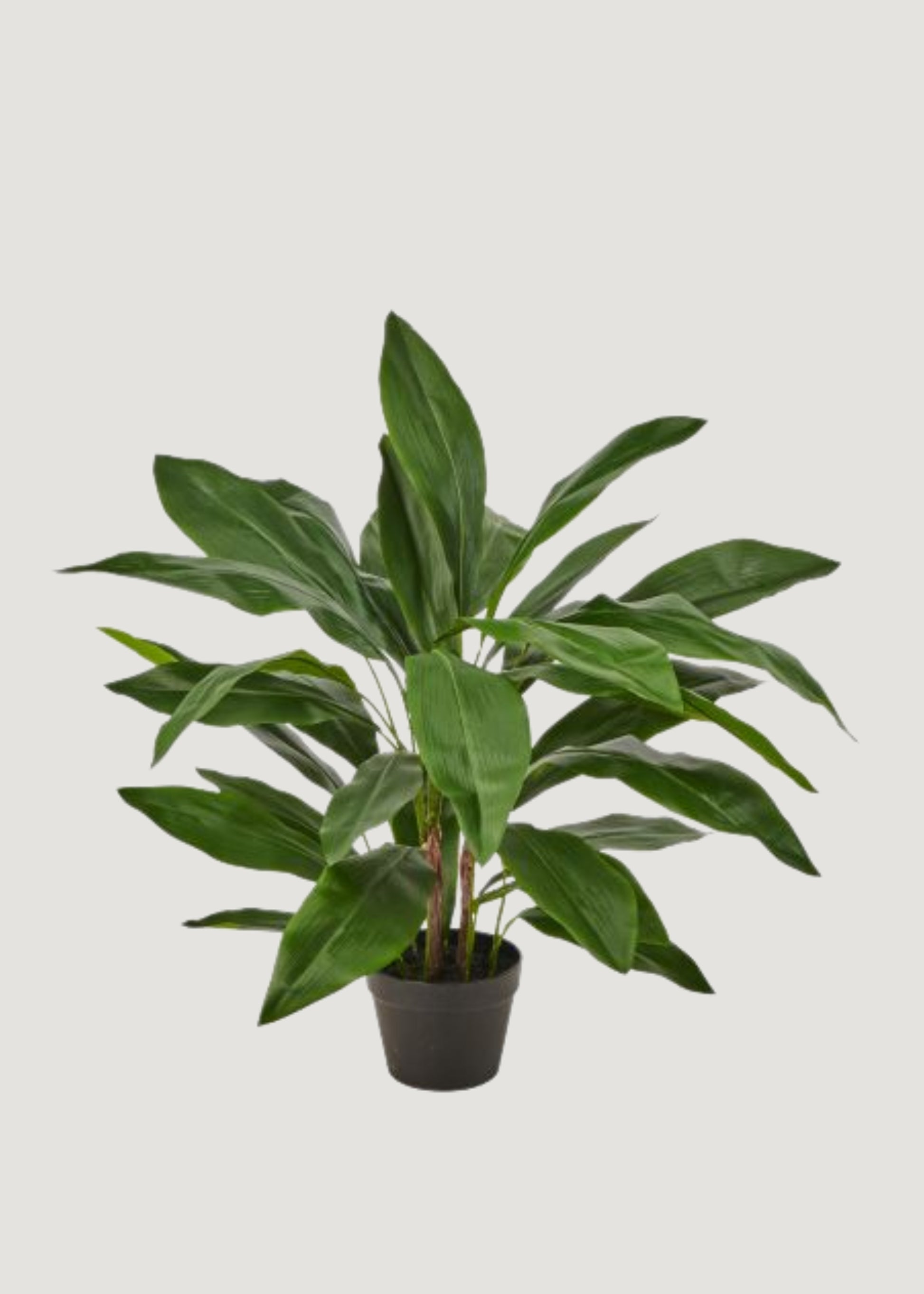  Fake Aspidistra Tropical Potted Plant 