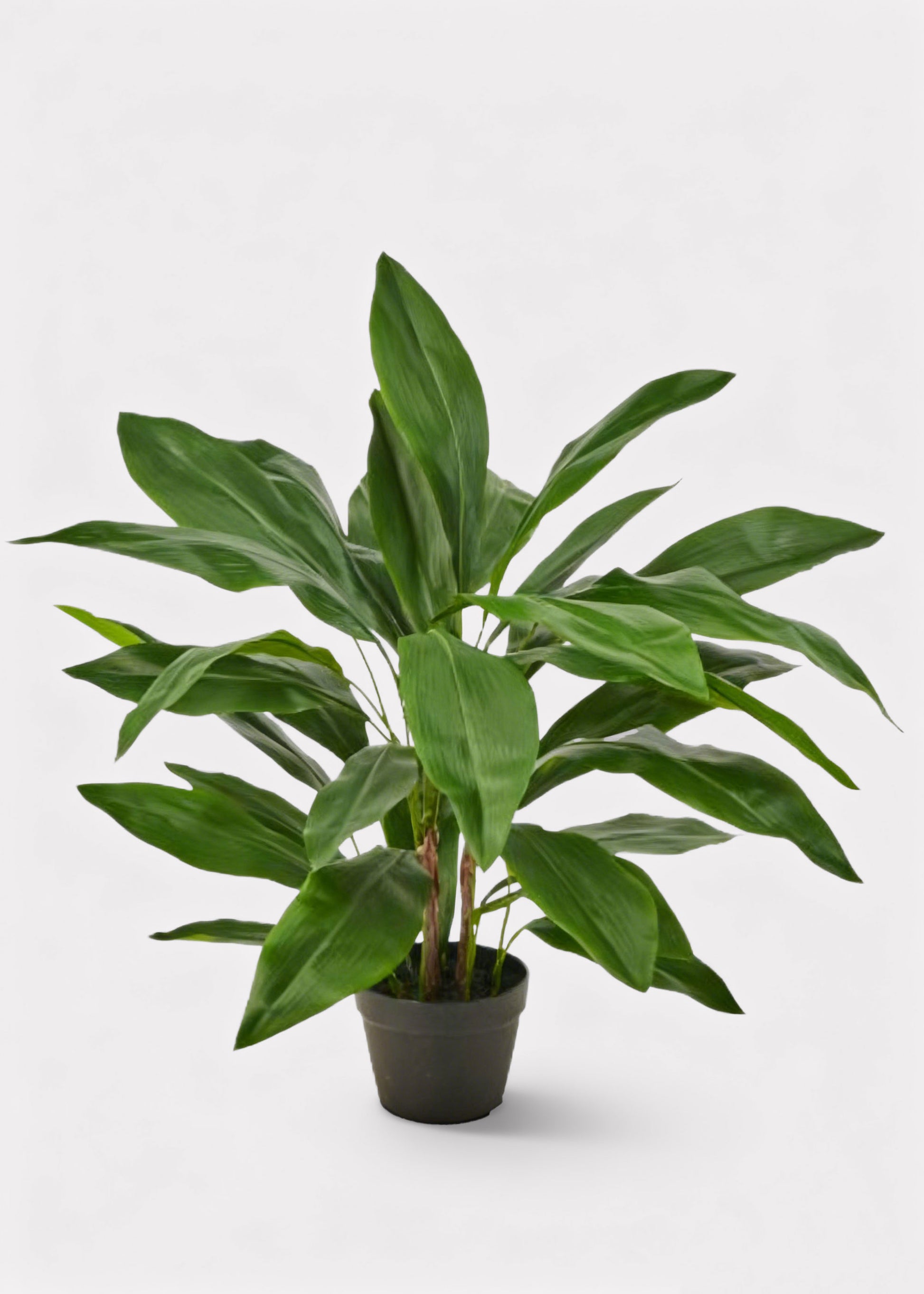 Fake Aspidistra Tropical Potted Plant 