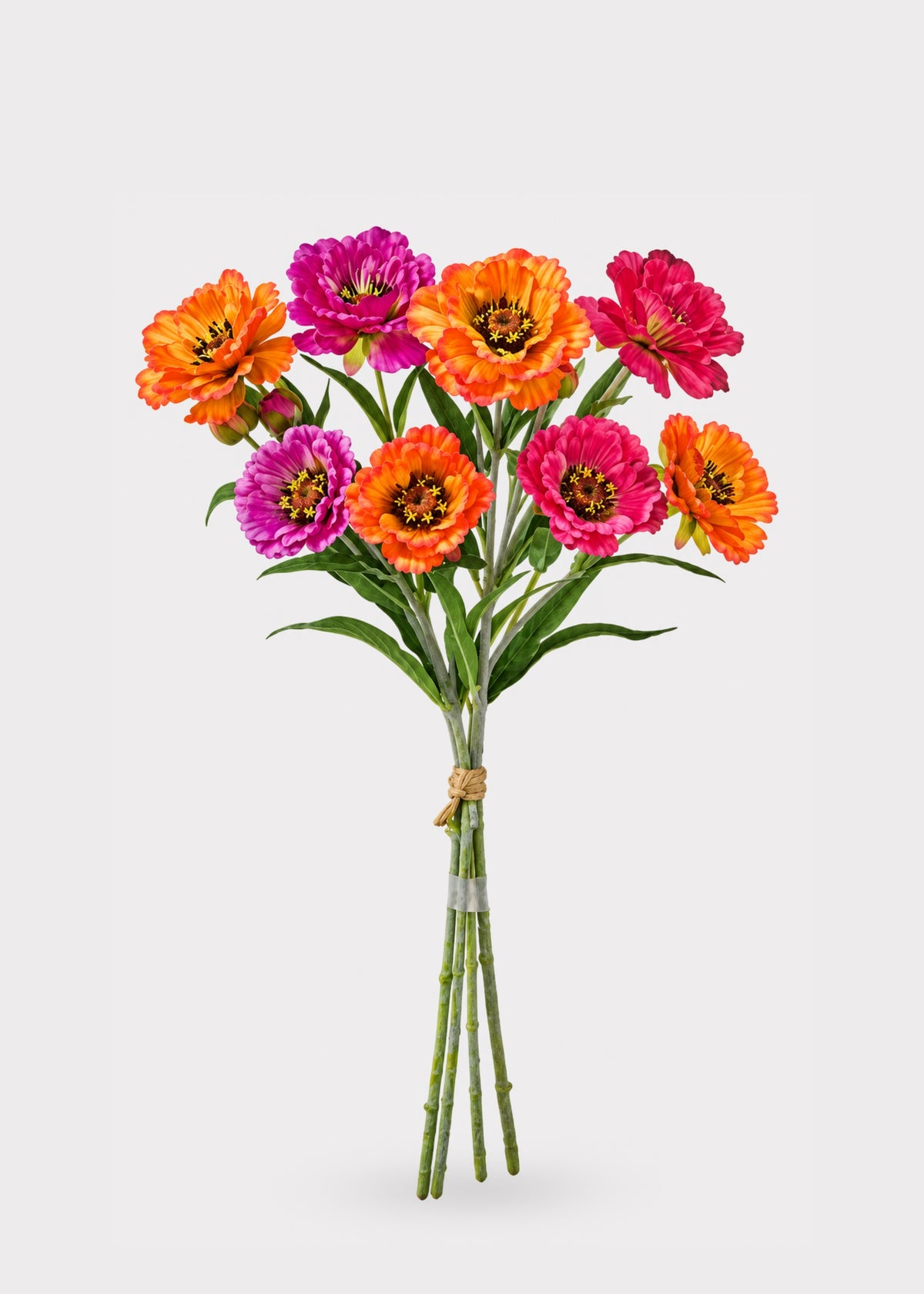Anemone Flower Bundle