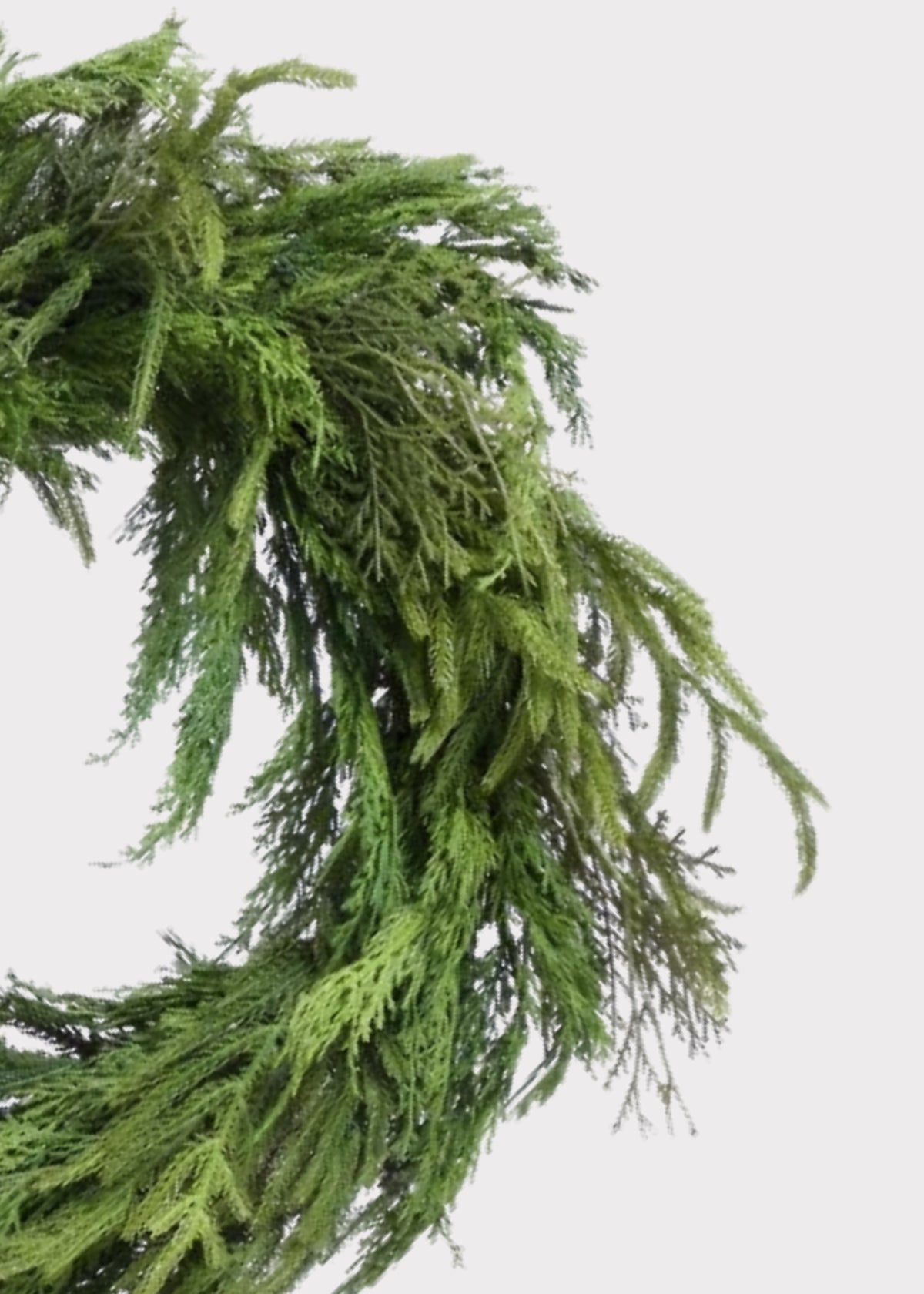 Close-up of a Cypress and Norfolk Pine Artificial Winter Greens Wreath