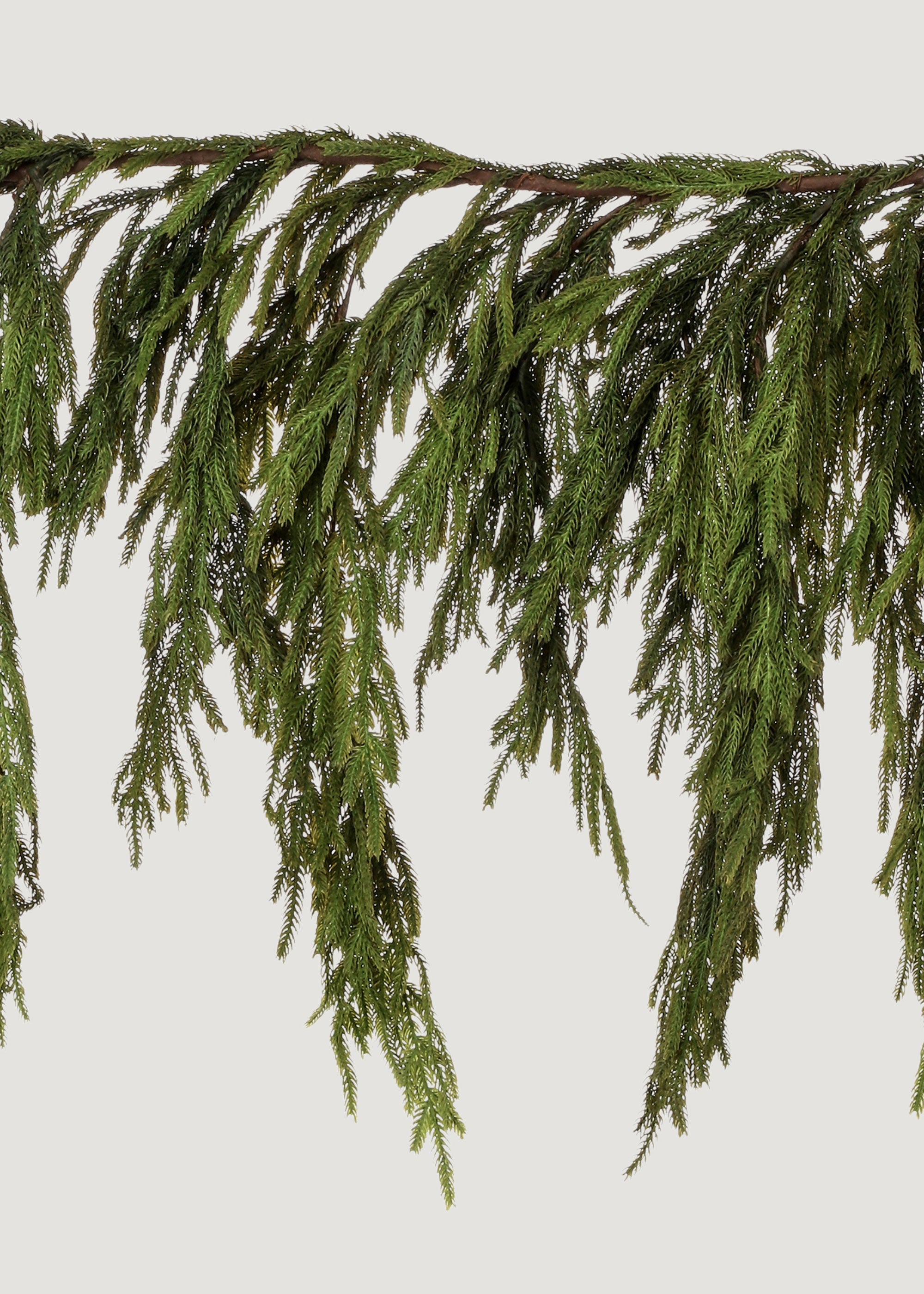 Hanging Norfolk Pine Garland 