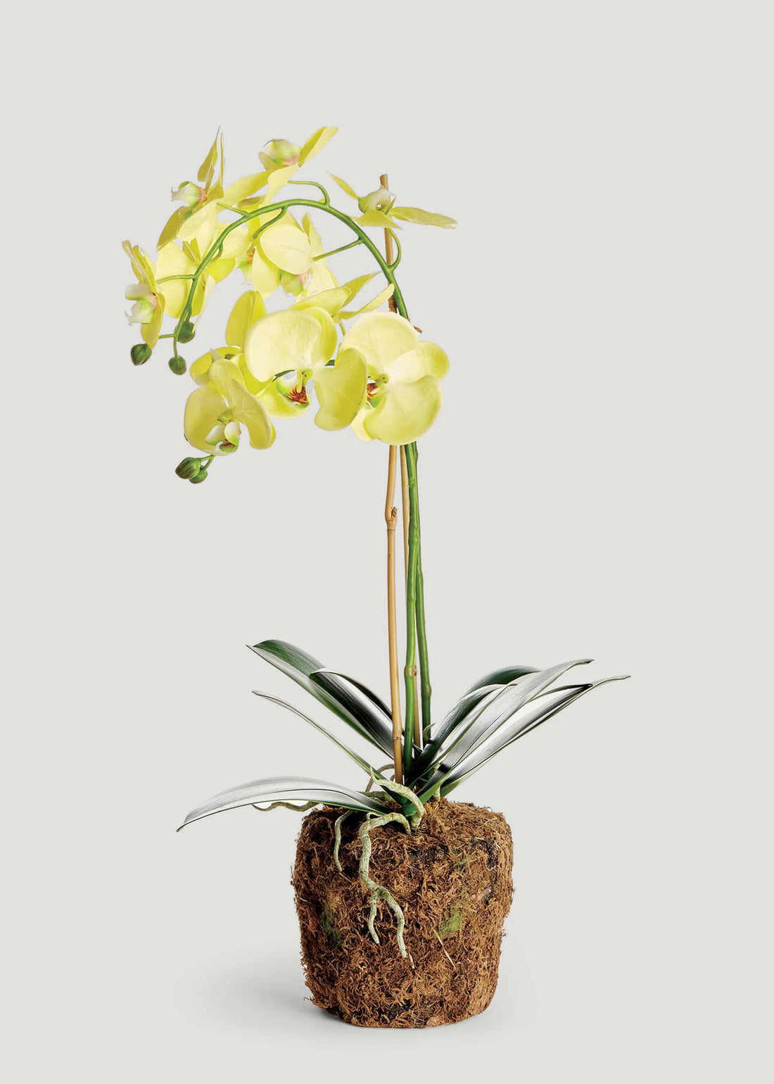 Yellow Artificial Orchid Drop-In Flower Plant
