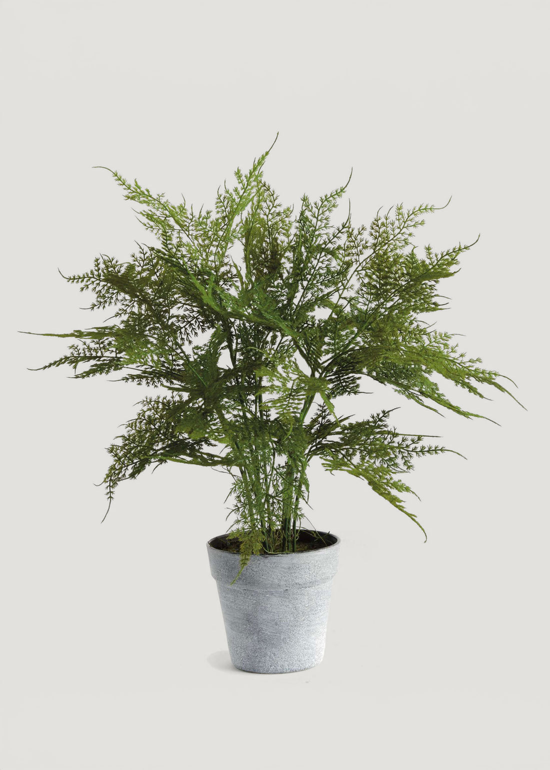 Artificial Plumosus Fern Potted Plant