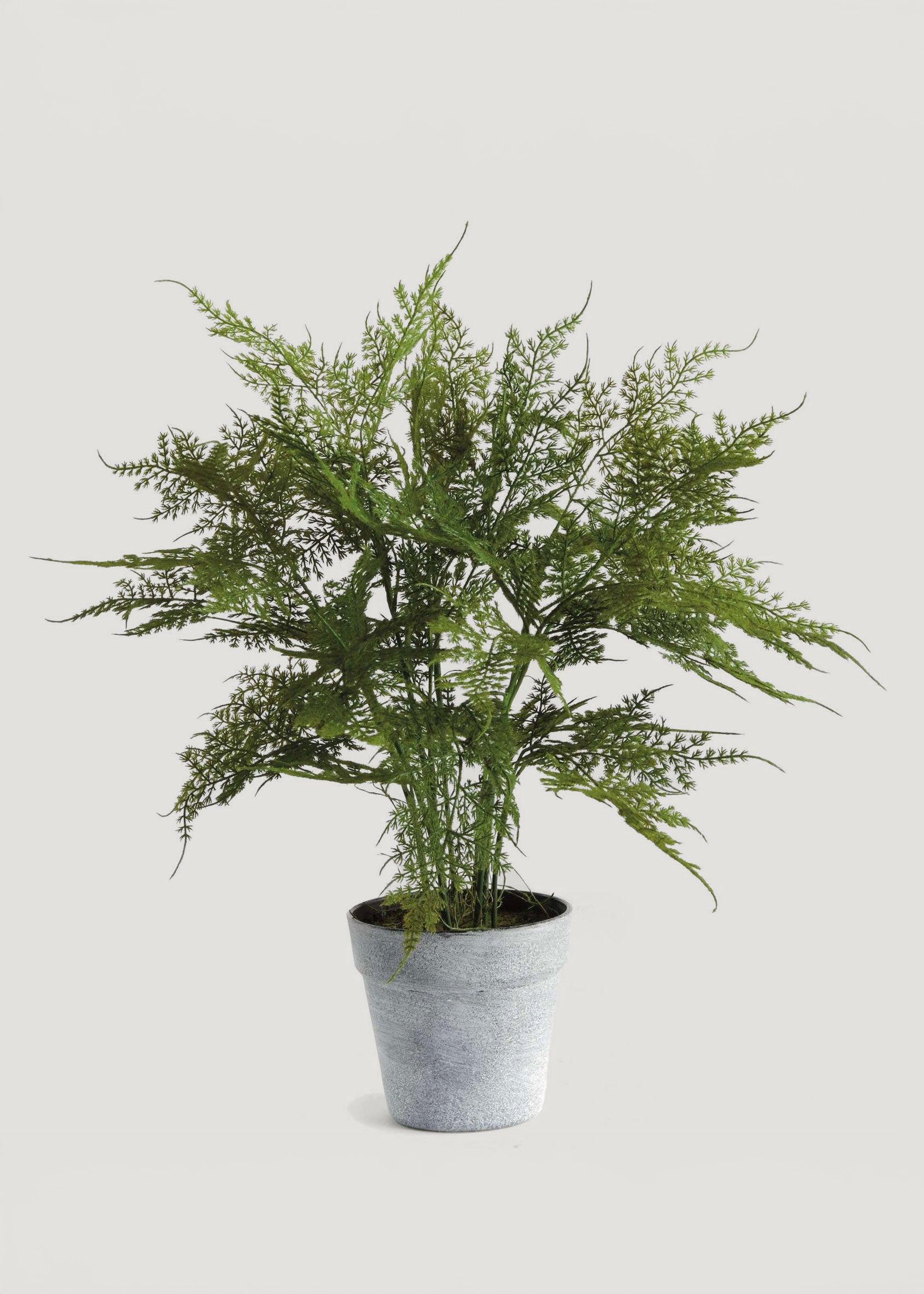 Artificial Plumosus Fern Potted Plant