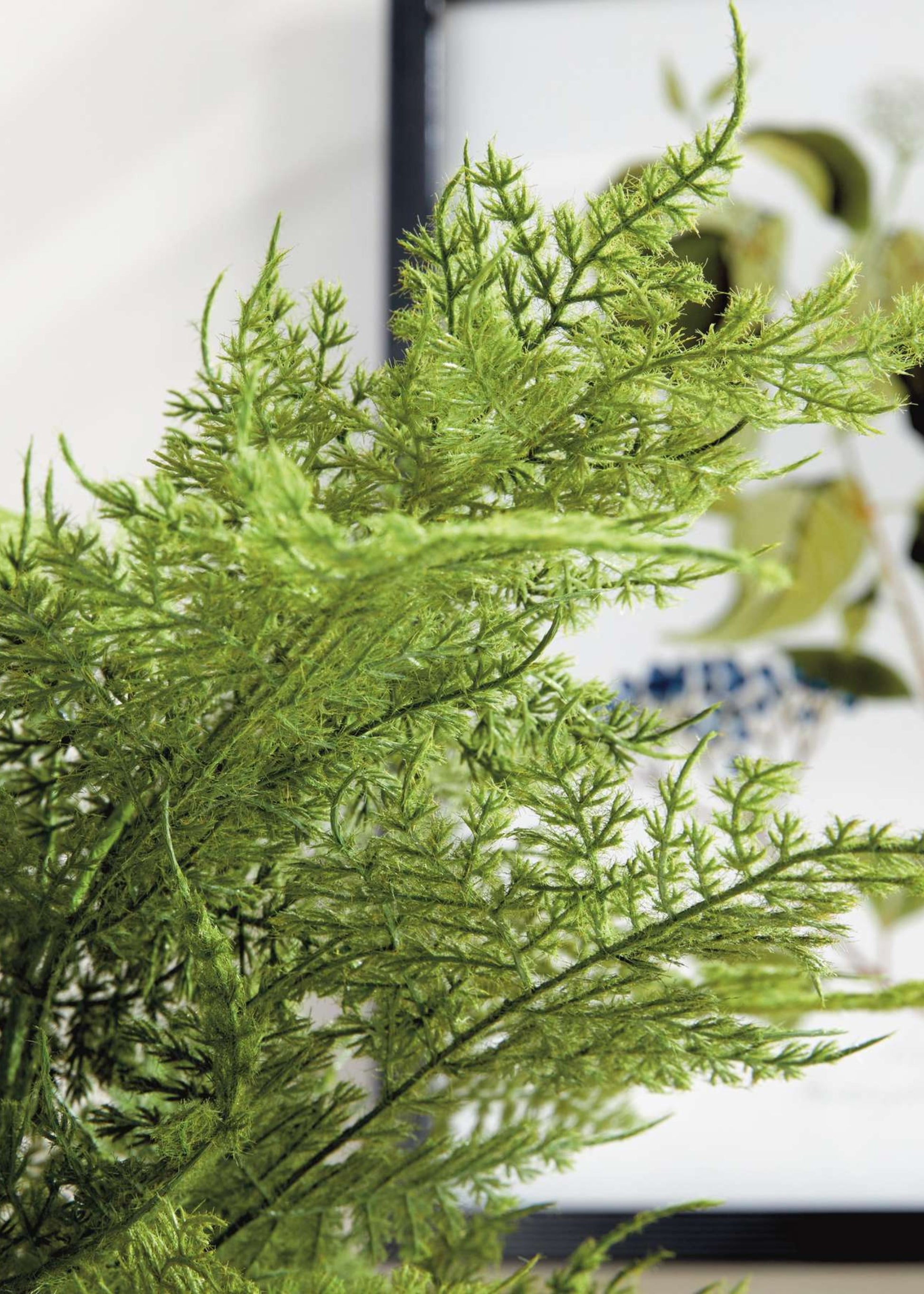 Close-up of a fake Plumosus fern