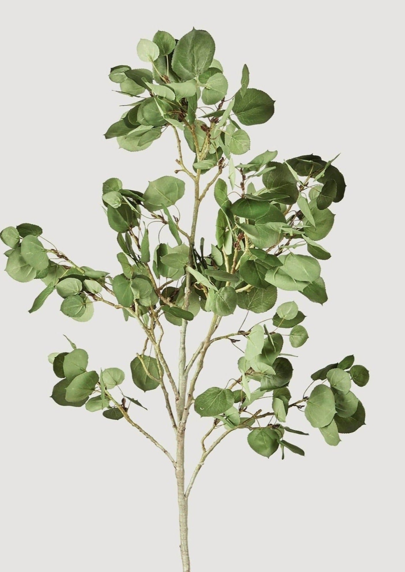 Tall Aspen Leaf Branch Artificial Leaves & Greenery Stems Afloral