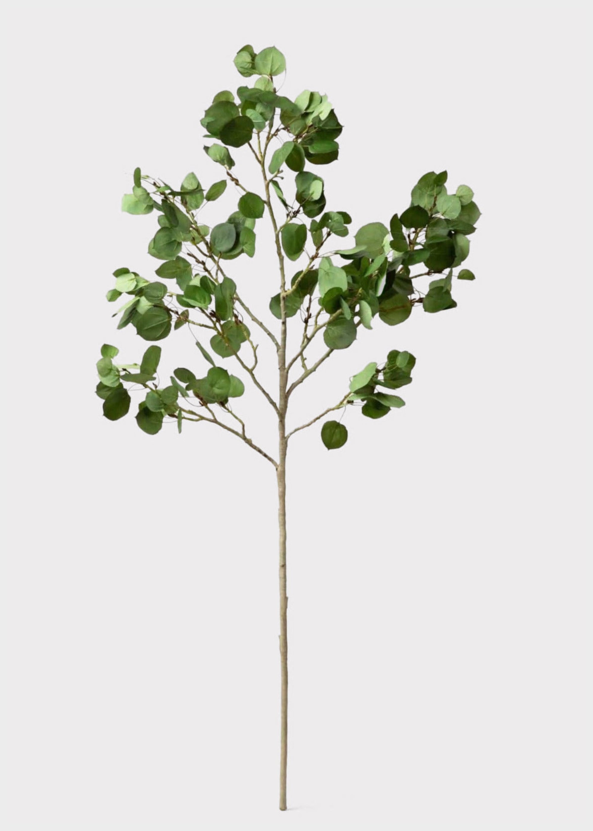 Natural-Looking Faux Greens Luxe Aspen Branch