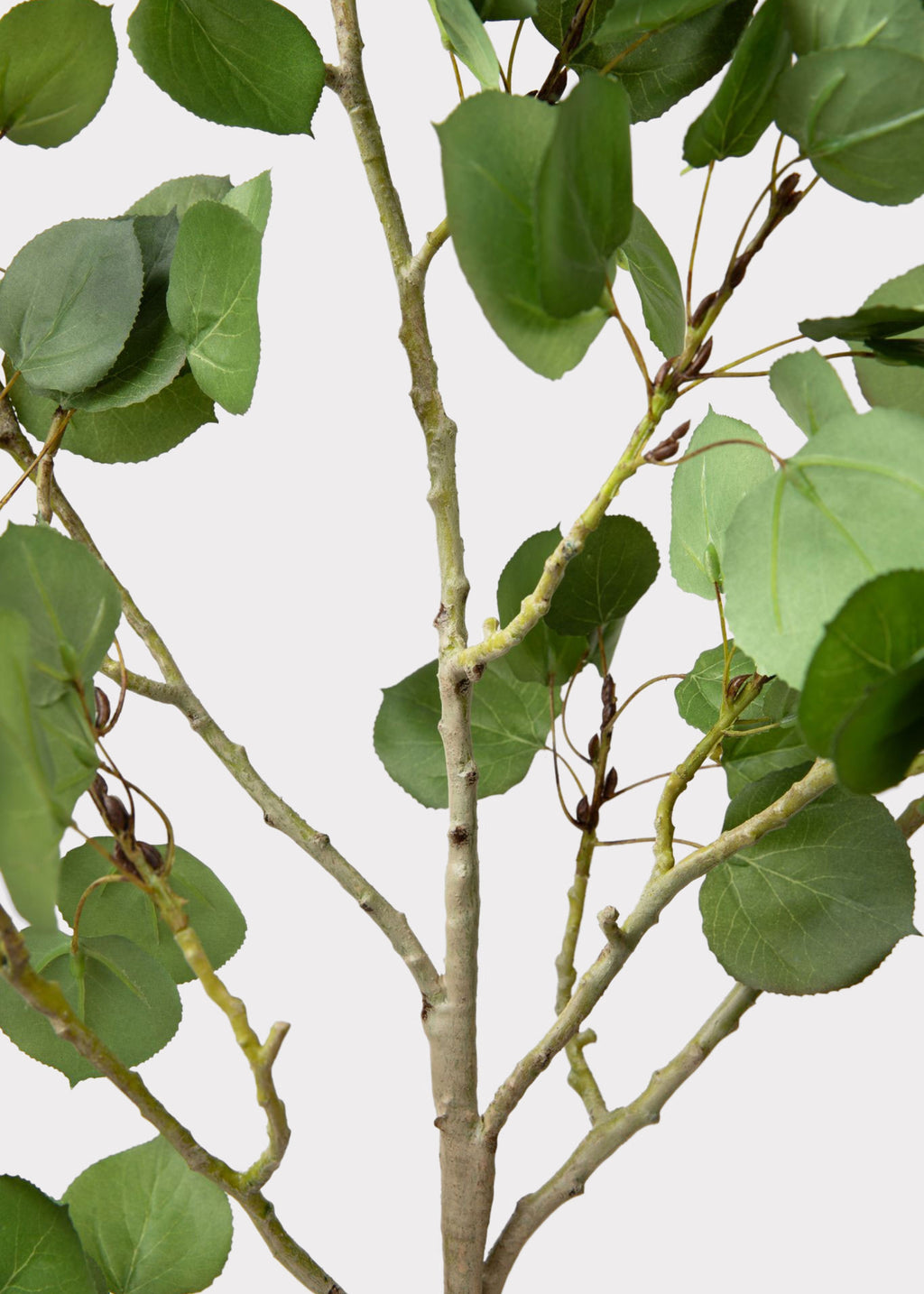 Luxe Faux Greens Closeup of Artificial Aspen Branch