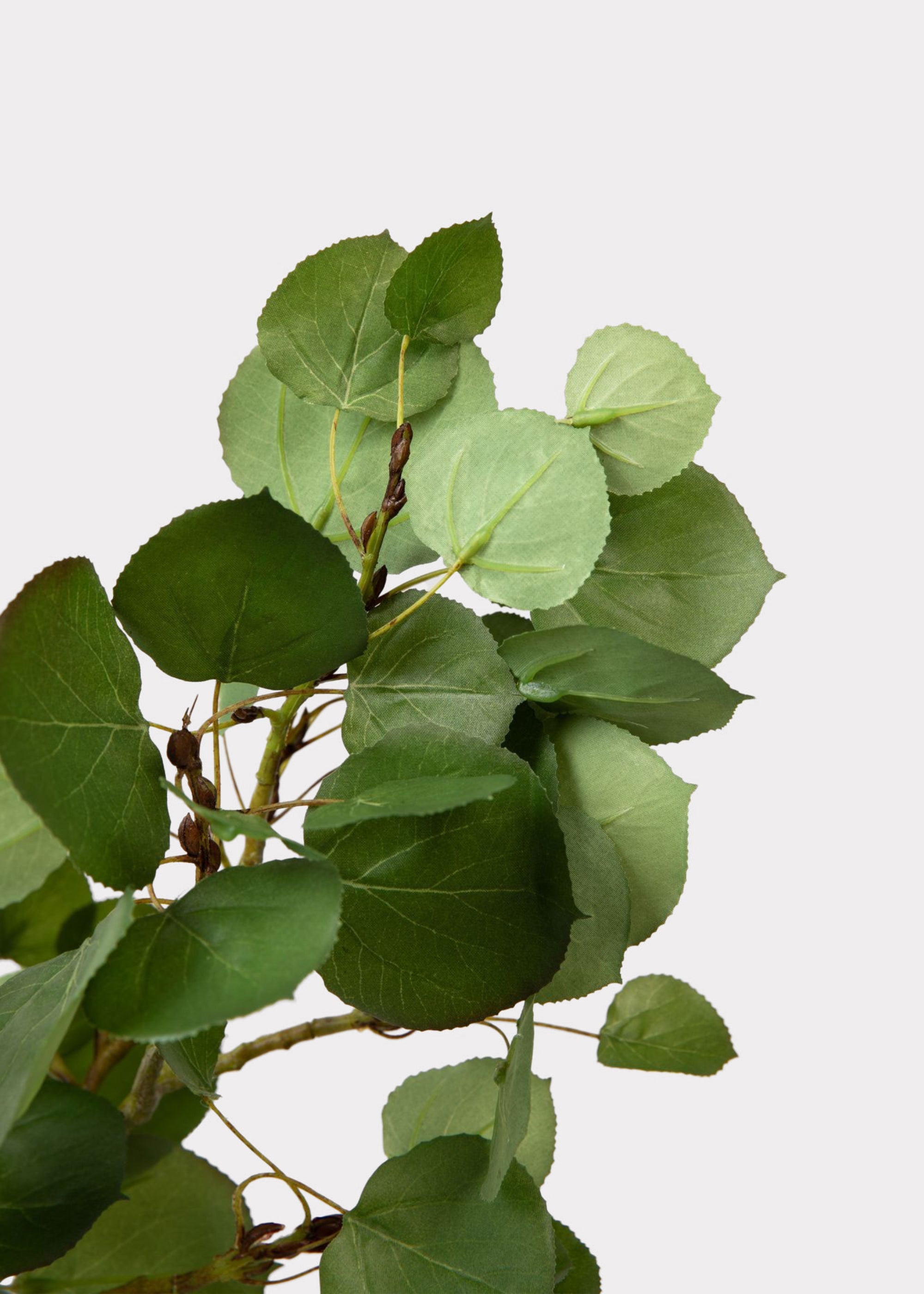 Luxe Faux Green Aspen Leaves in Closeup View
