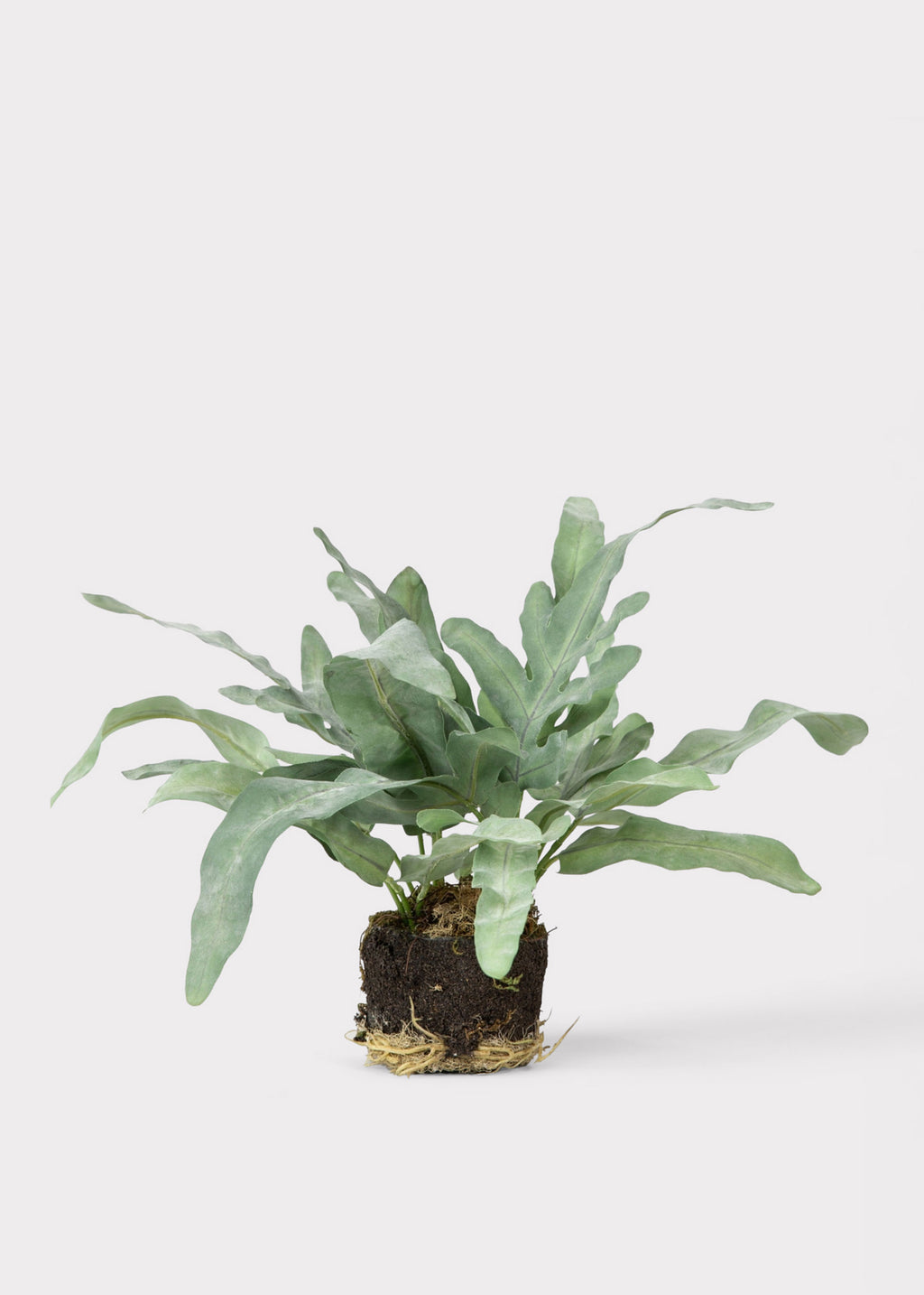 Artificial Echeveria Fern Drop-In Plant 