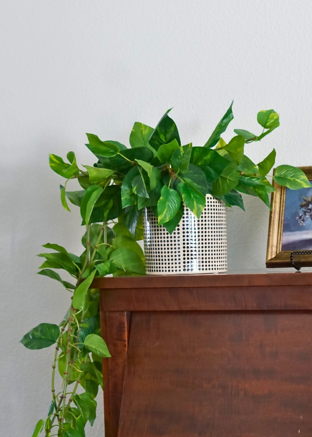 Faux Pothos is Handmade Dotted Ceramic Pot