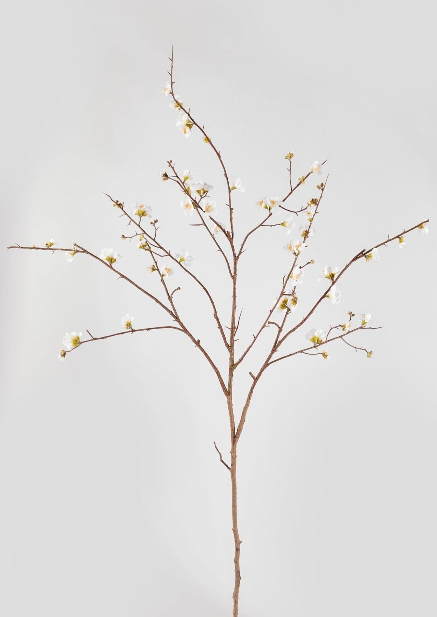 Afloral Faux Tall Branches Cream Quince Blossom Branch