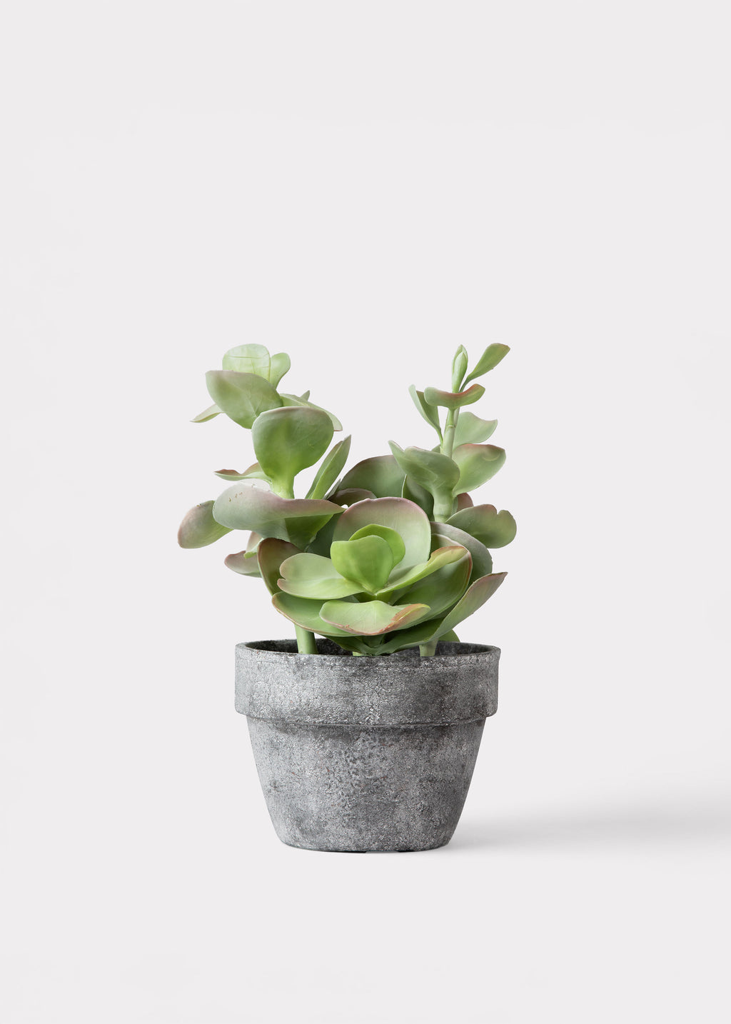 succulent plant artificial Fake Potted Artificial Succulent Plant