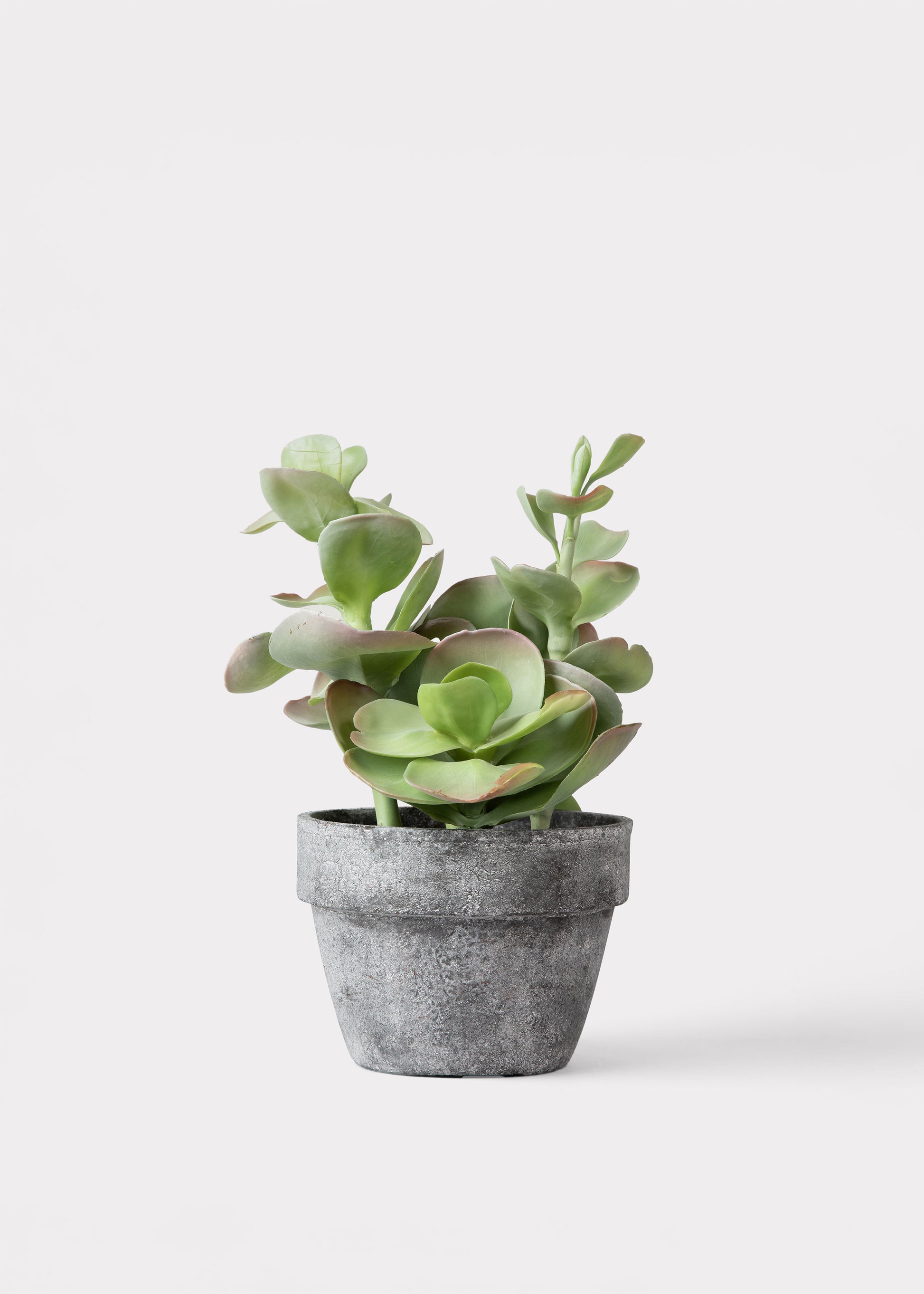 succulent artificial plants Fake Potted Artificial Succulent Plant