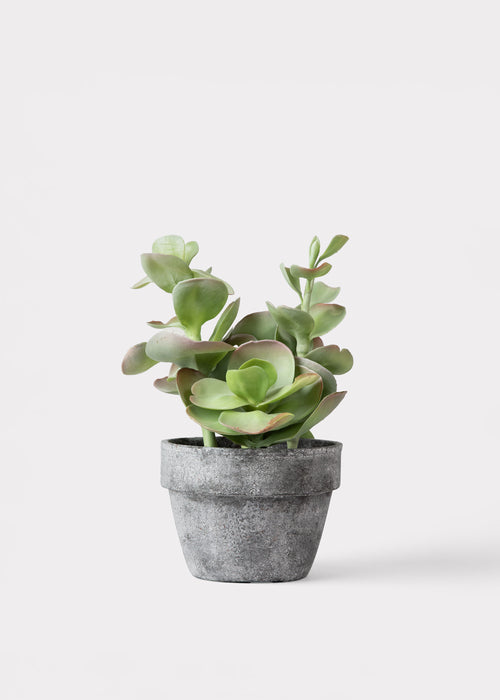 most realistic artificial succulents Fake Potted Artificial Succulent Plant