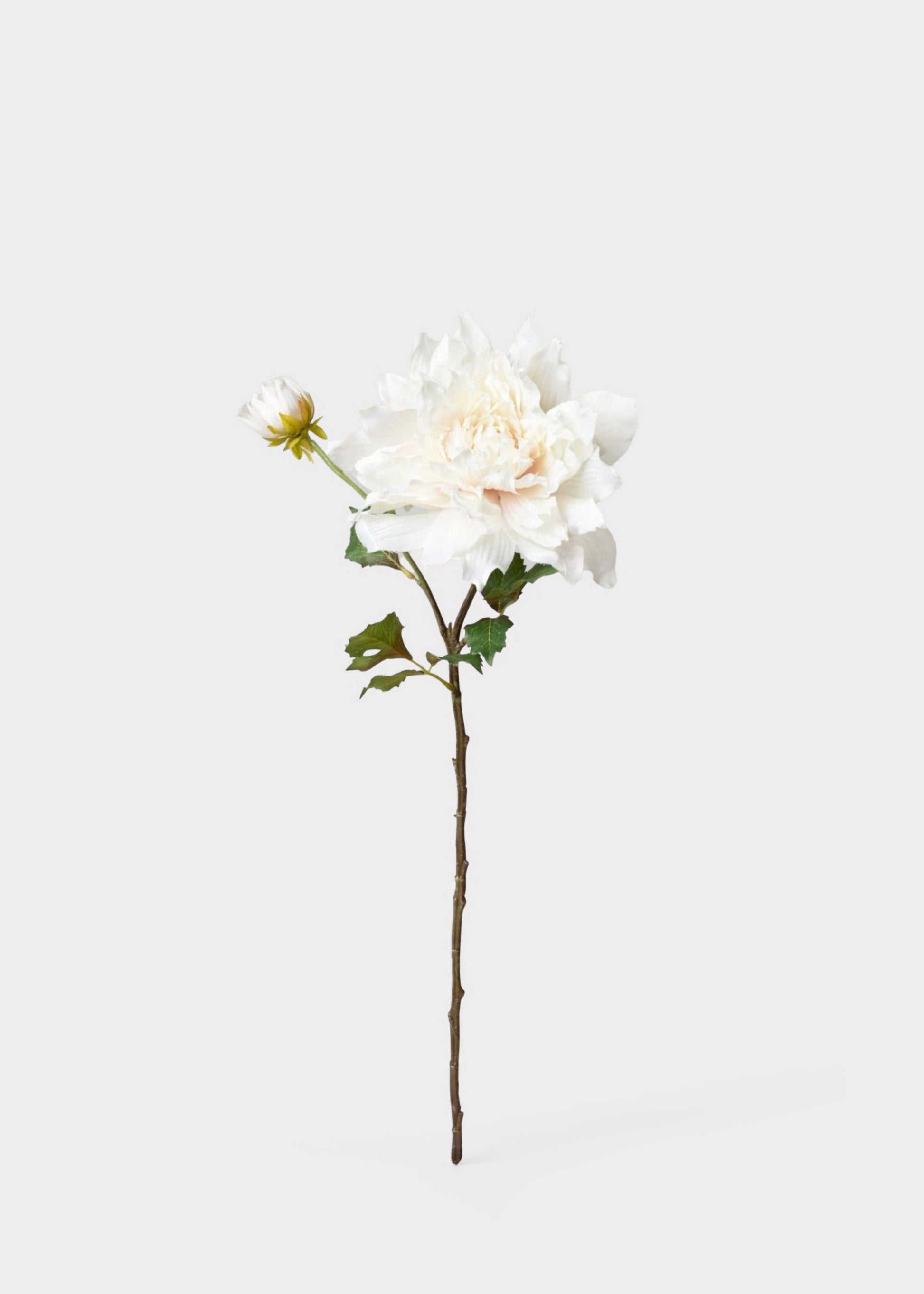 Cream White Artificial Dahlia