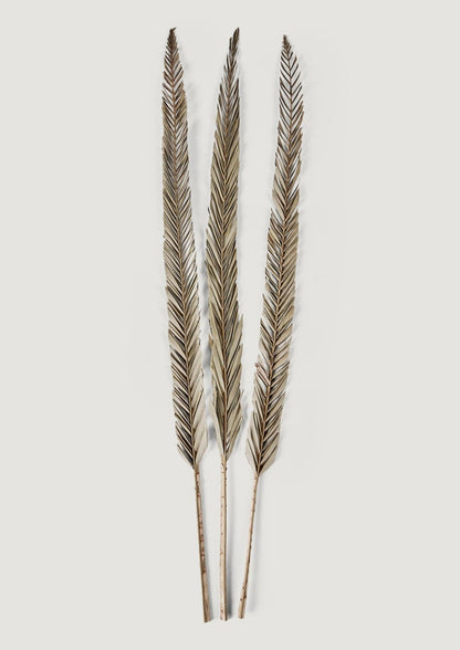 Afloral Natural Leaf Accents Dried Sword Palms